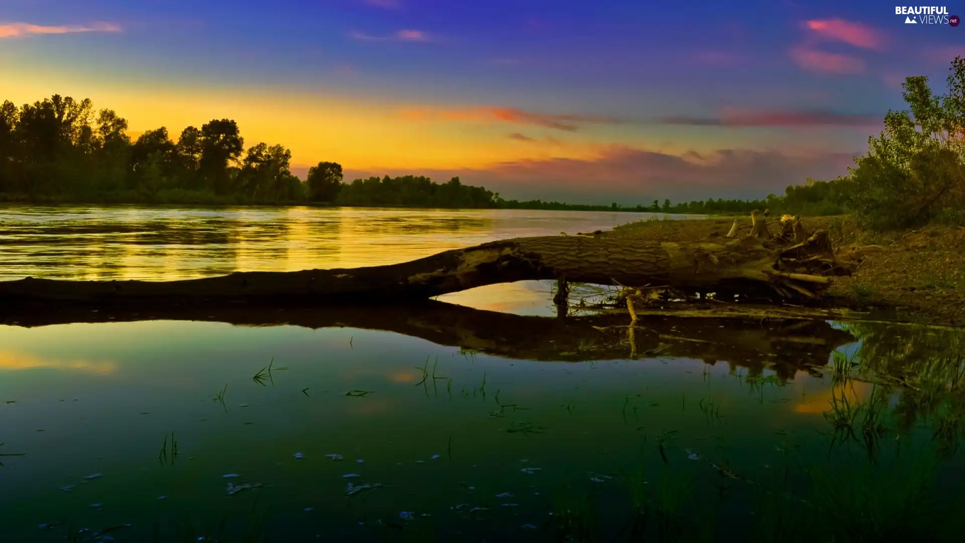 sun, lake, trees, viewes, Lod on the beach, west