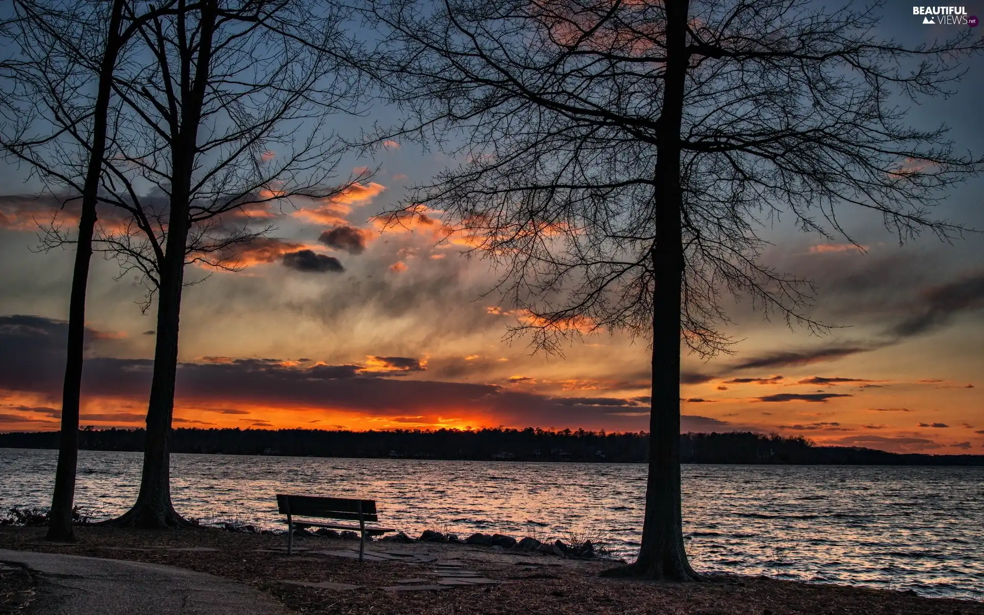 viewes, River, west, sun, Bench, trees