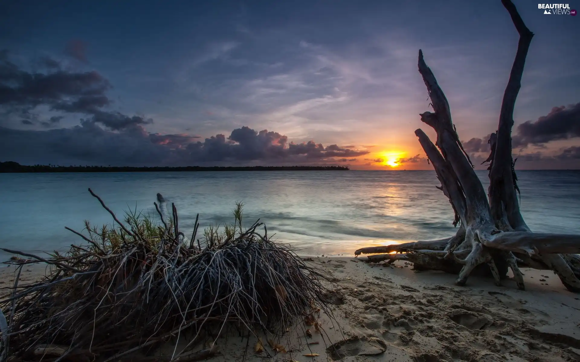 Sand, Coast, west, sun, clouds, Bush