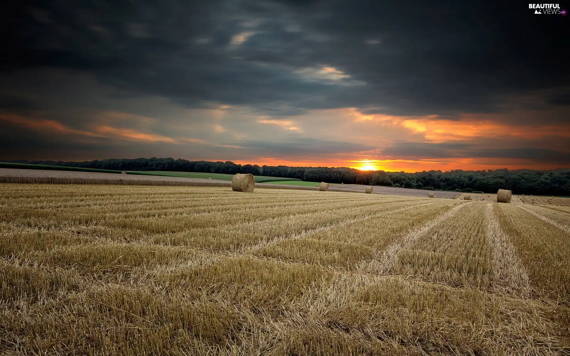 west, sun, Bele, hay, field