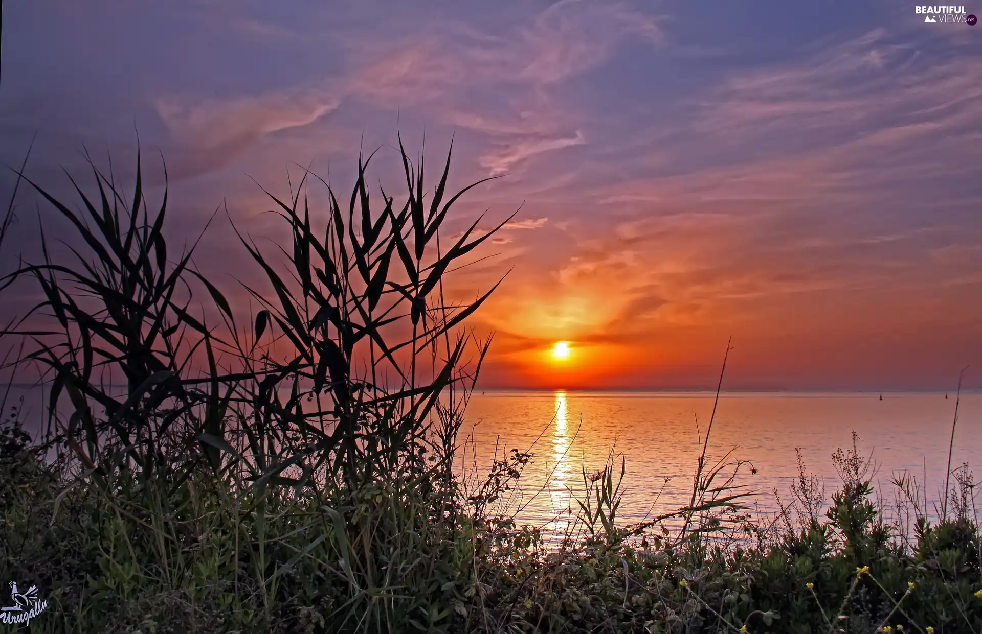 west, sun, Sailboats, grass, lake