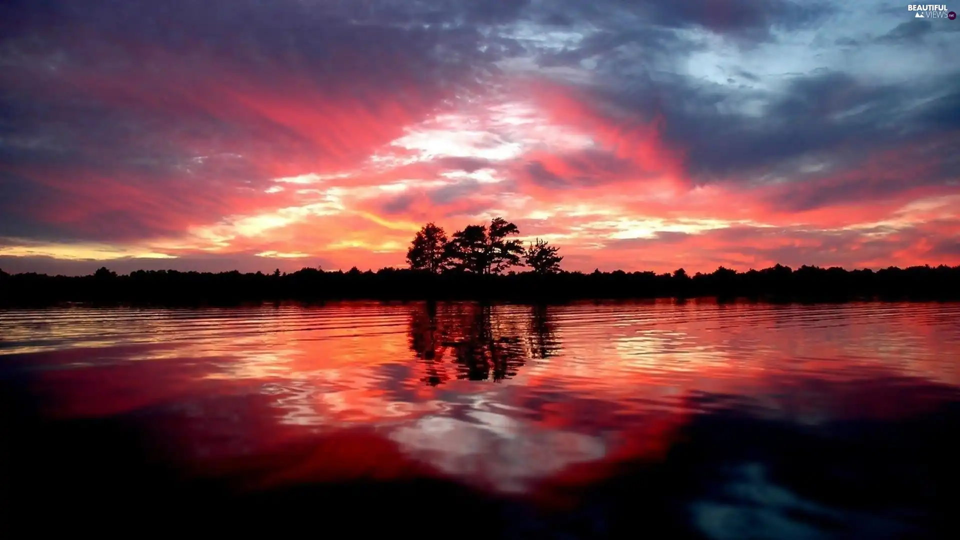 west, sun, trees, viewes, lake