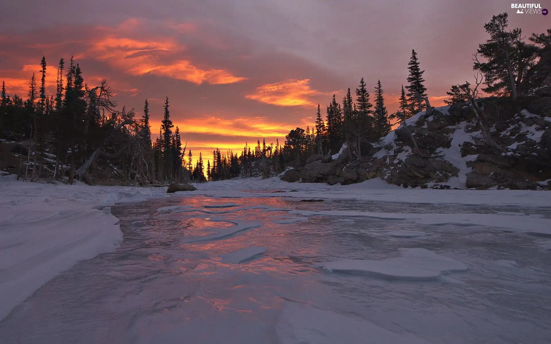 west, sun, floe, forest, River