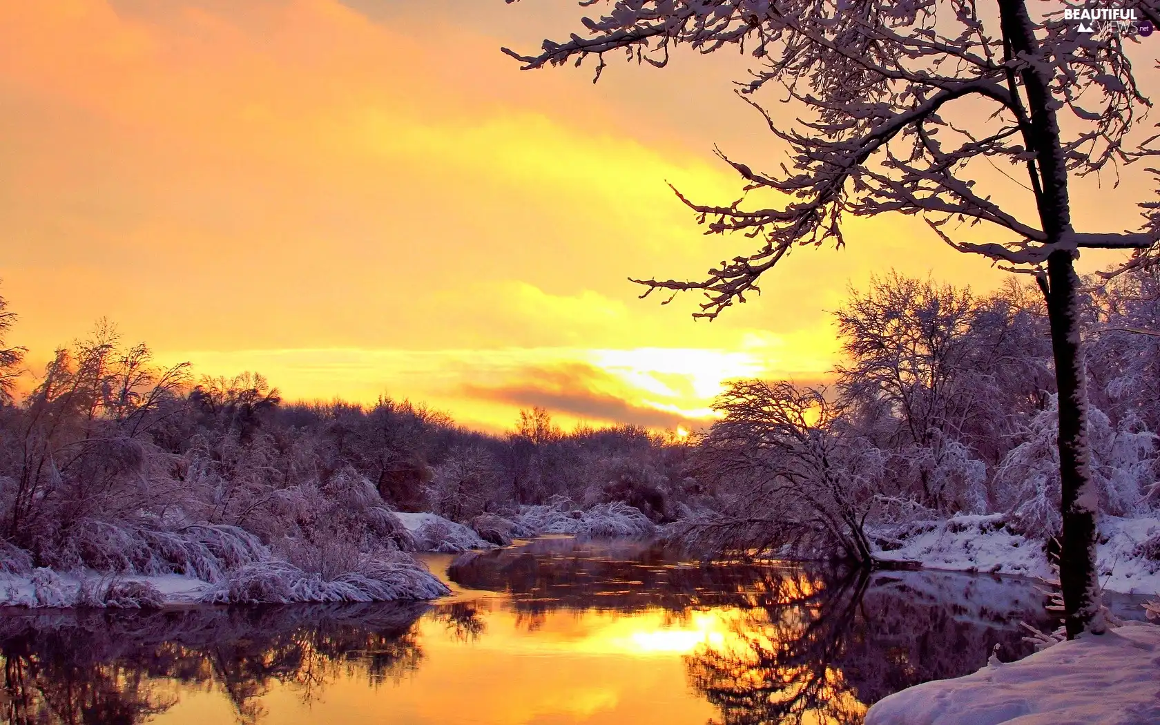 west, sun, trees, viewes, River