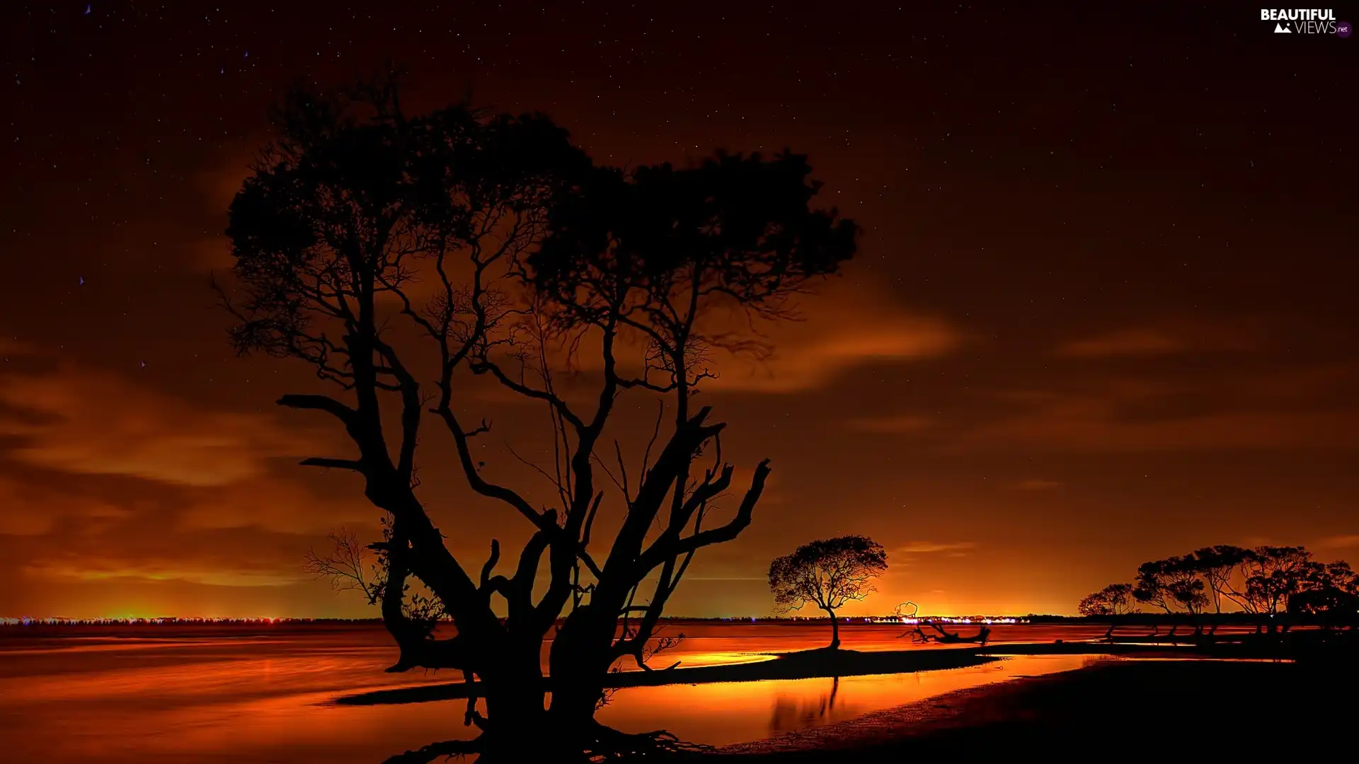 trees, lake, west, sun, viewes, pool