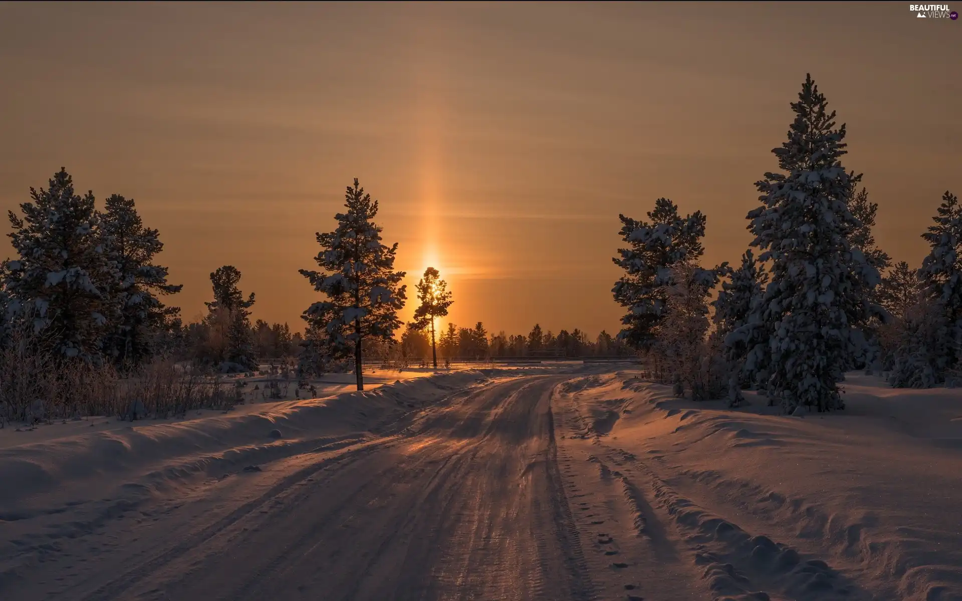 trees, winter, west, sun, viewes, Way