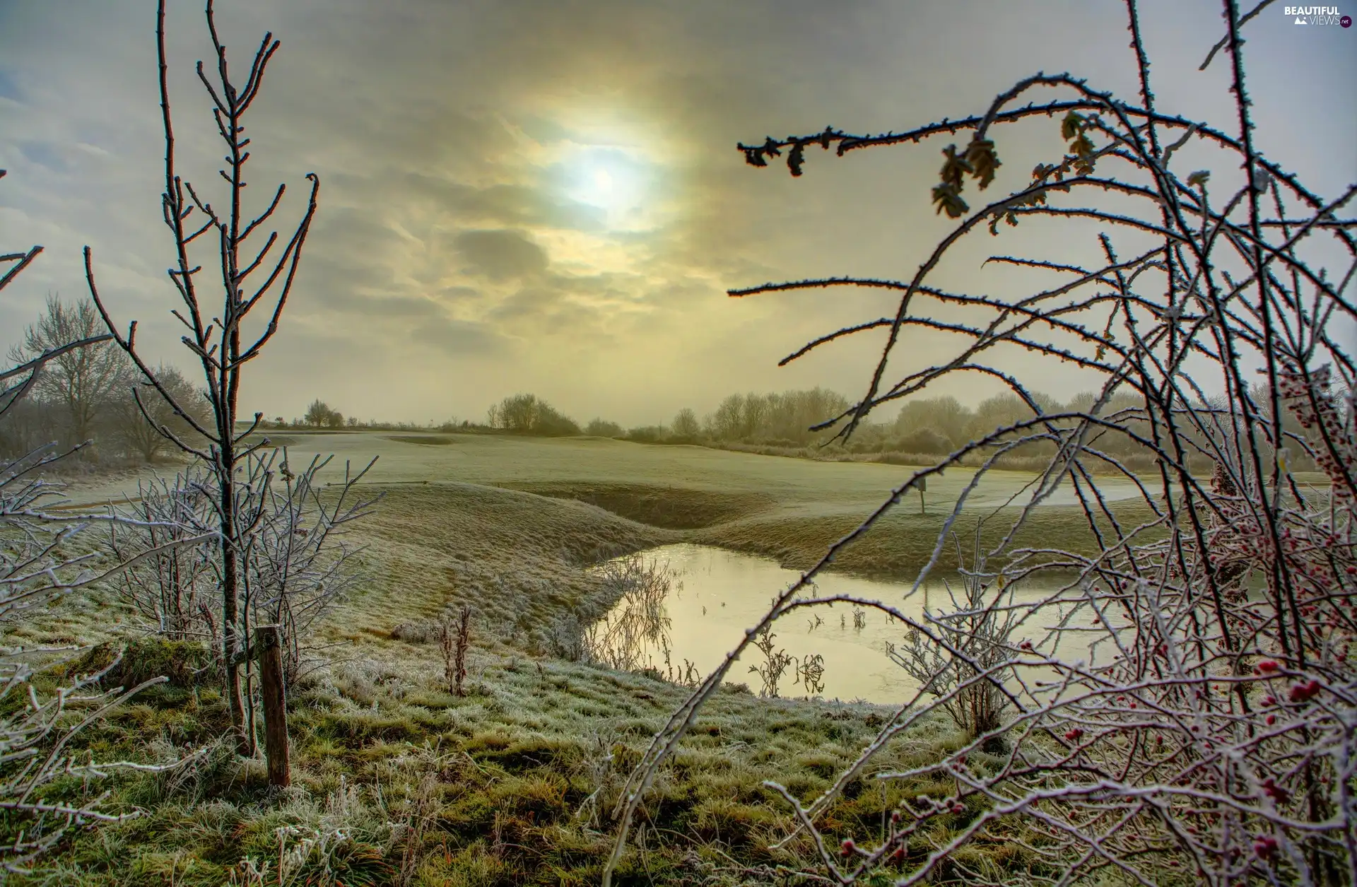 west, sun, Pond, clouds, winter