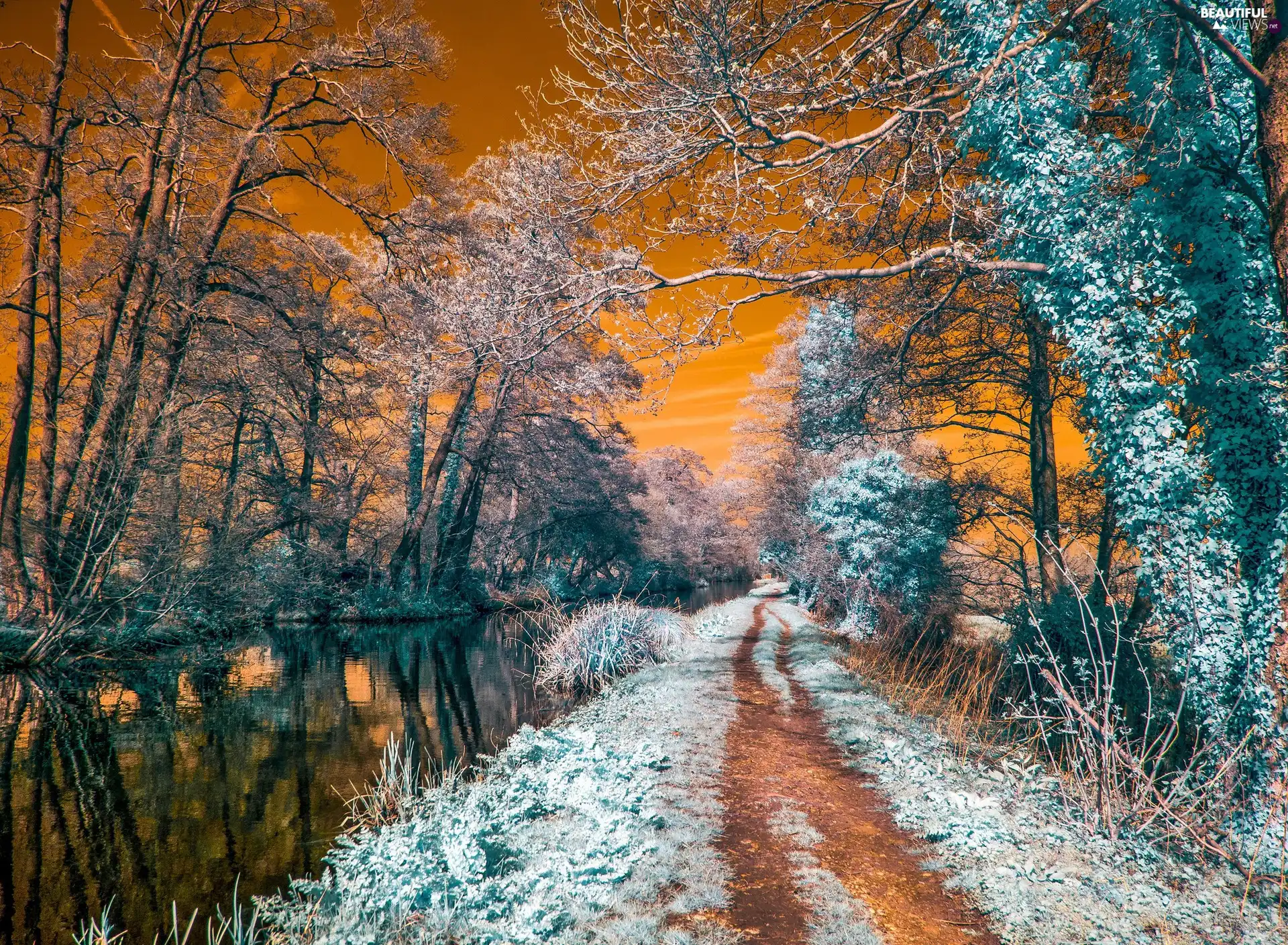Path, trees, sun, viewes, River, west, winter