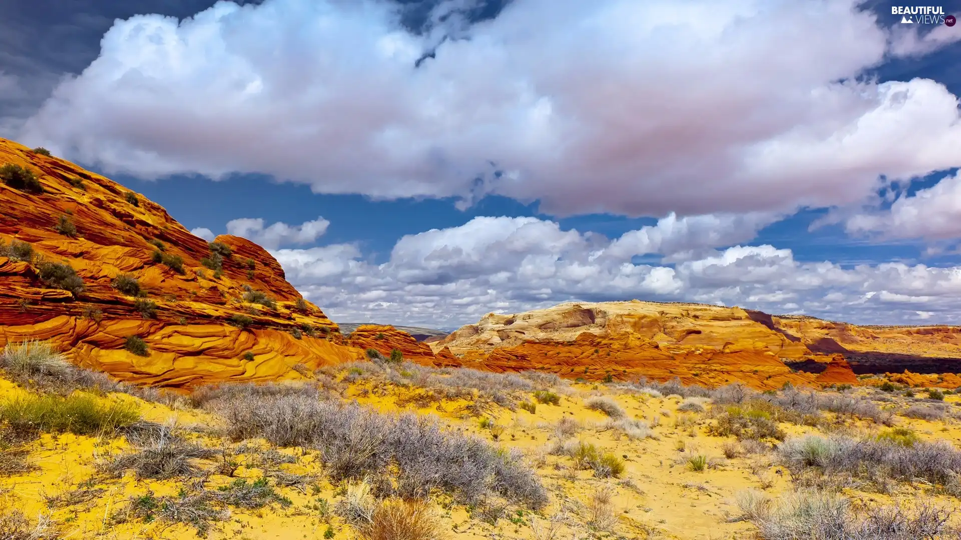 united, Arizona, White, clouds, canyon, state