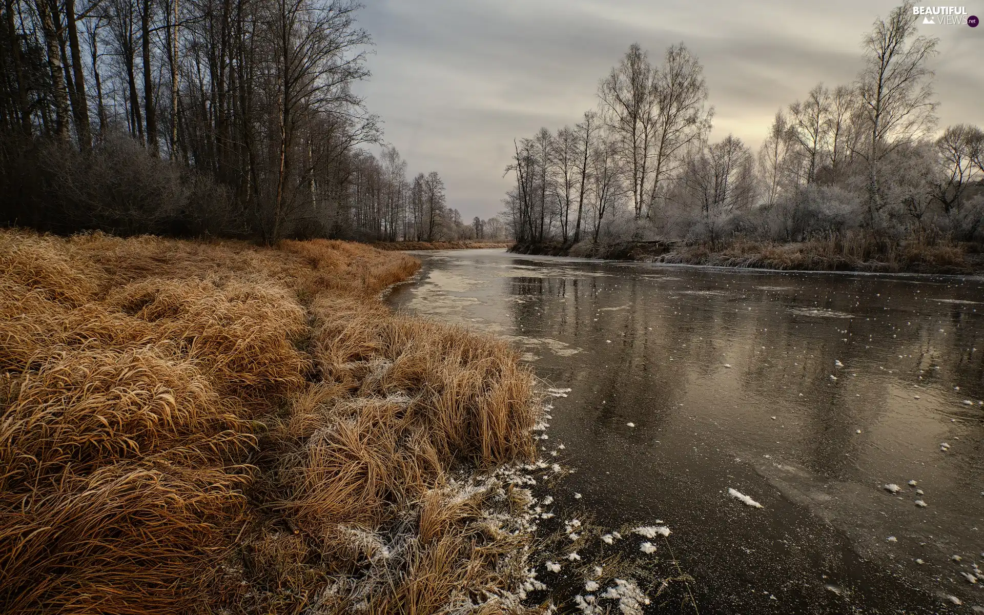 viewes, River, grass, White frost, dry, trees