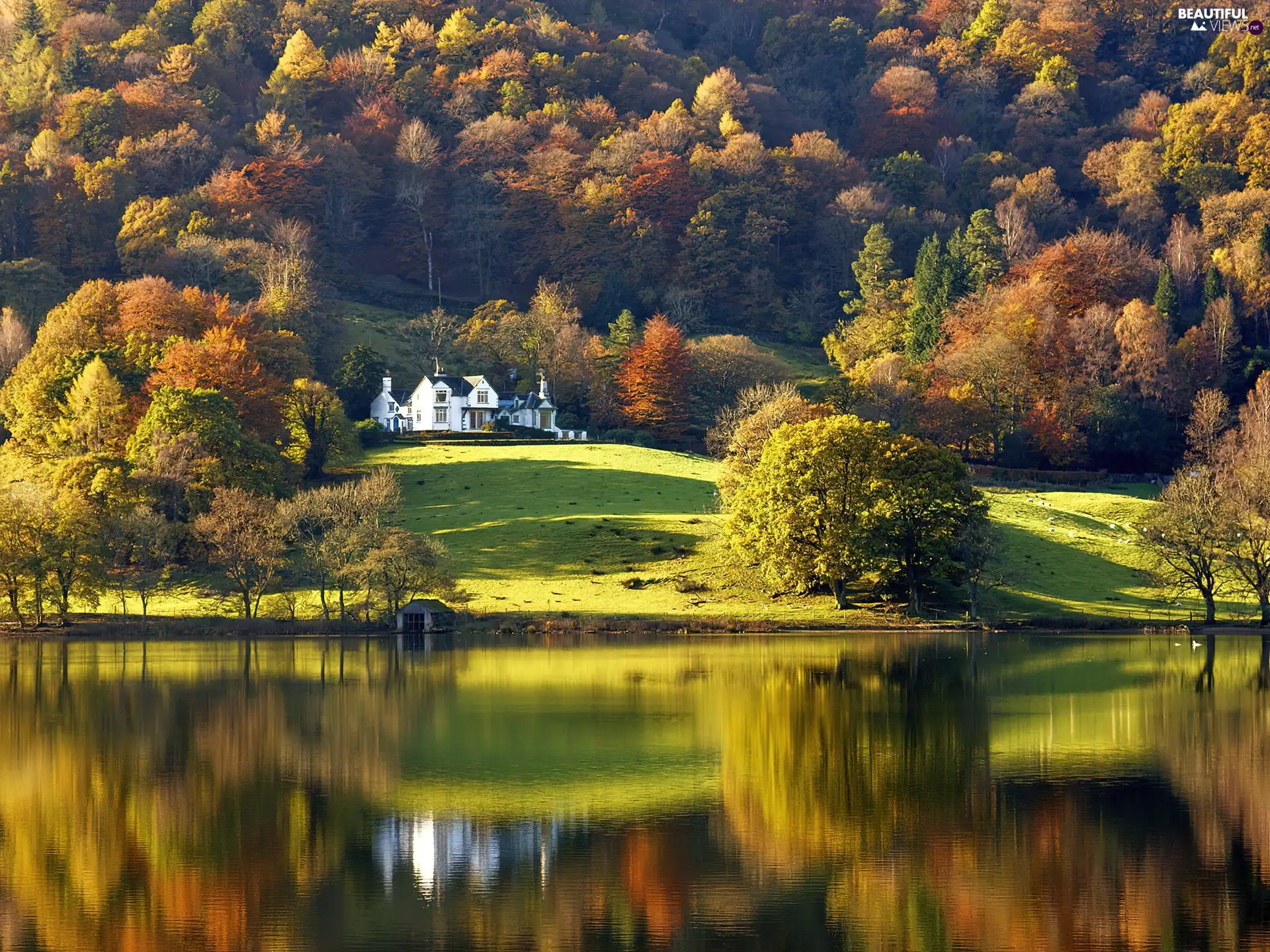 viewes, autumn, White, Home, lake, trees