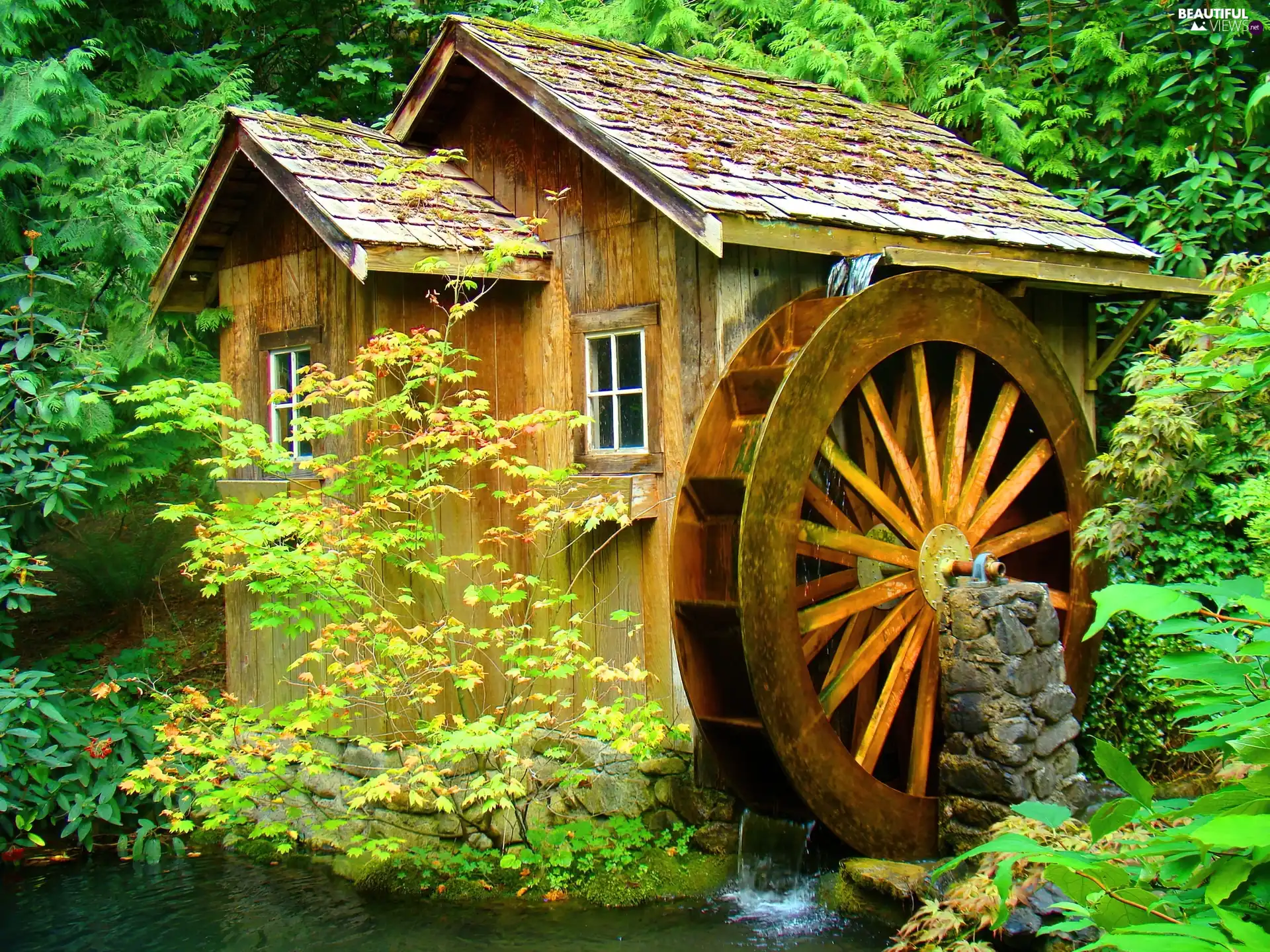 Windmill, forest, water