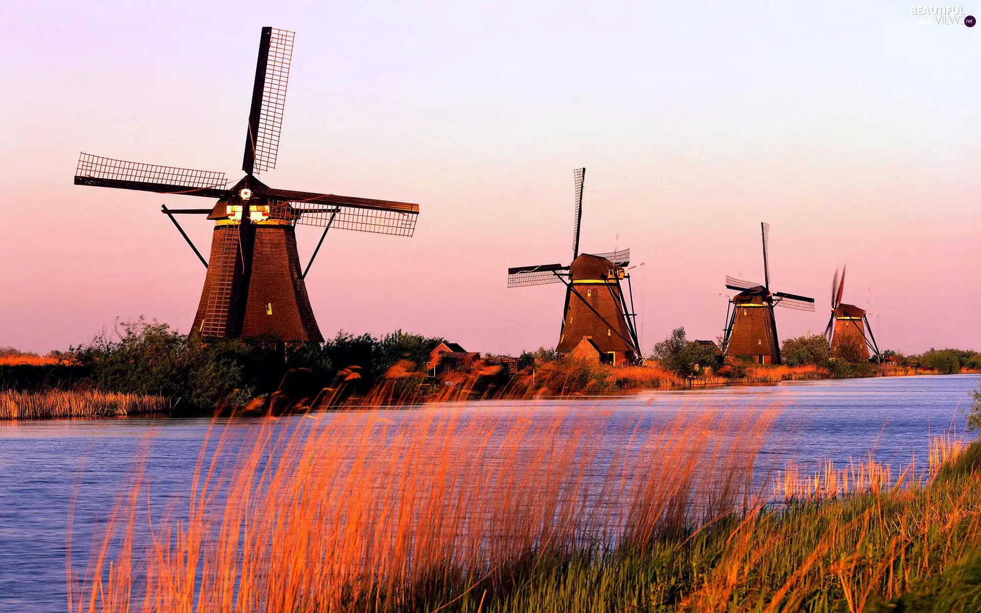 River, Windmills