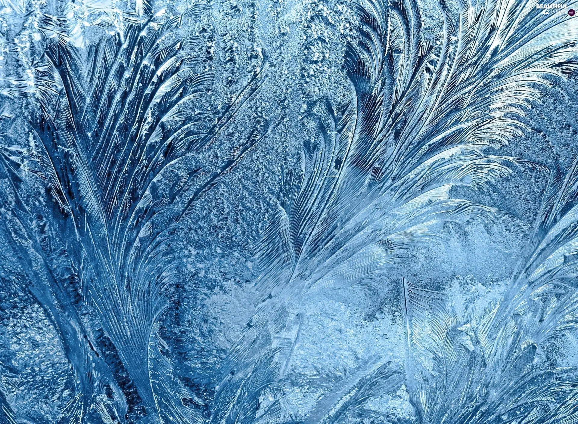 frozen, Window
