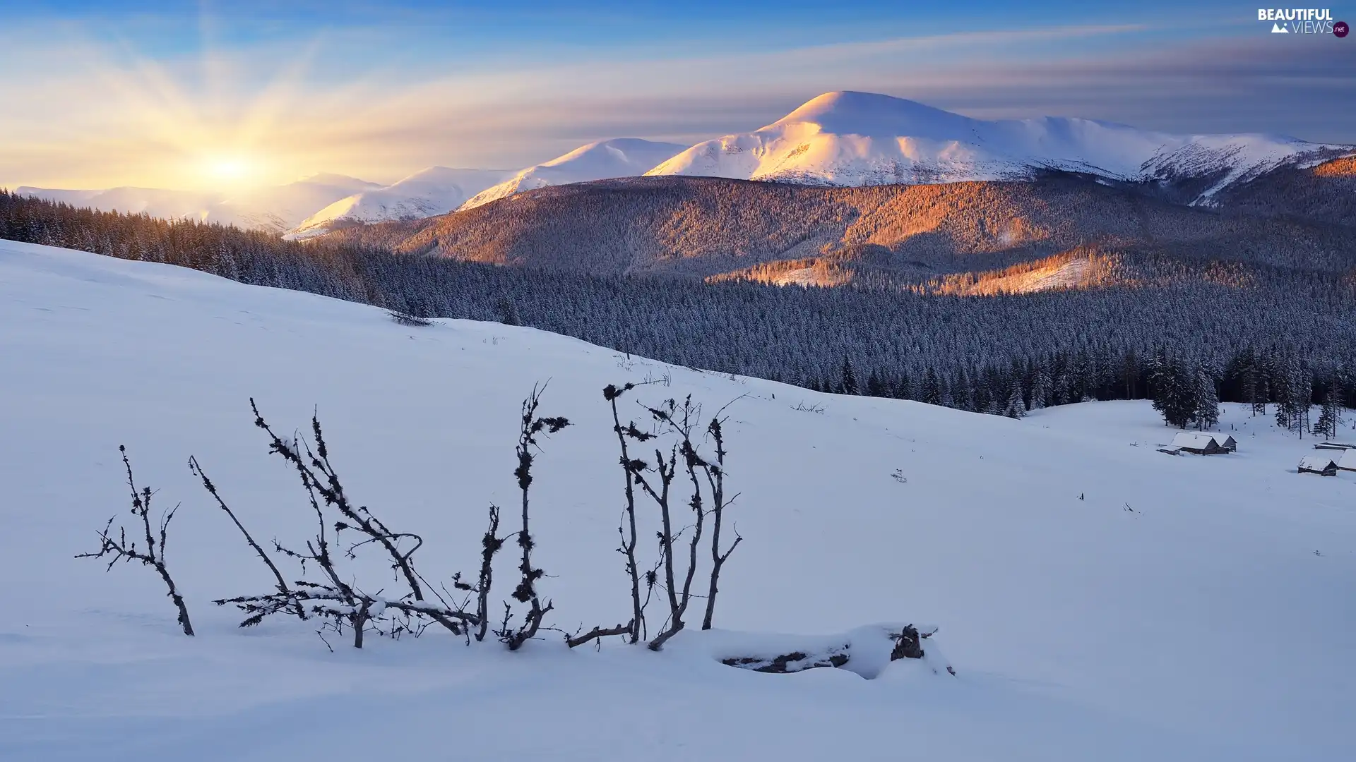 winter, Sunrise, Carpathian Mountains, forest, Ukraine
