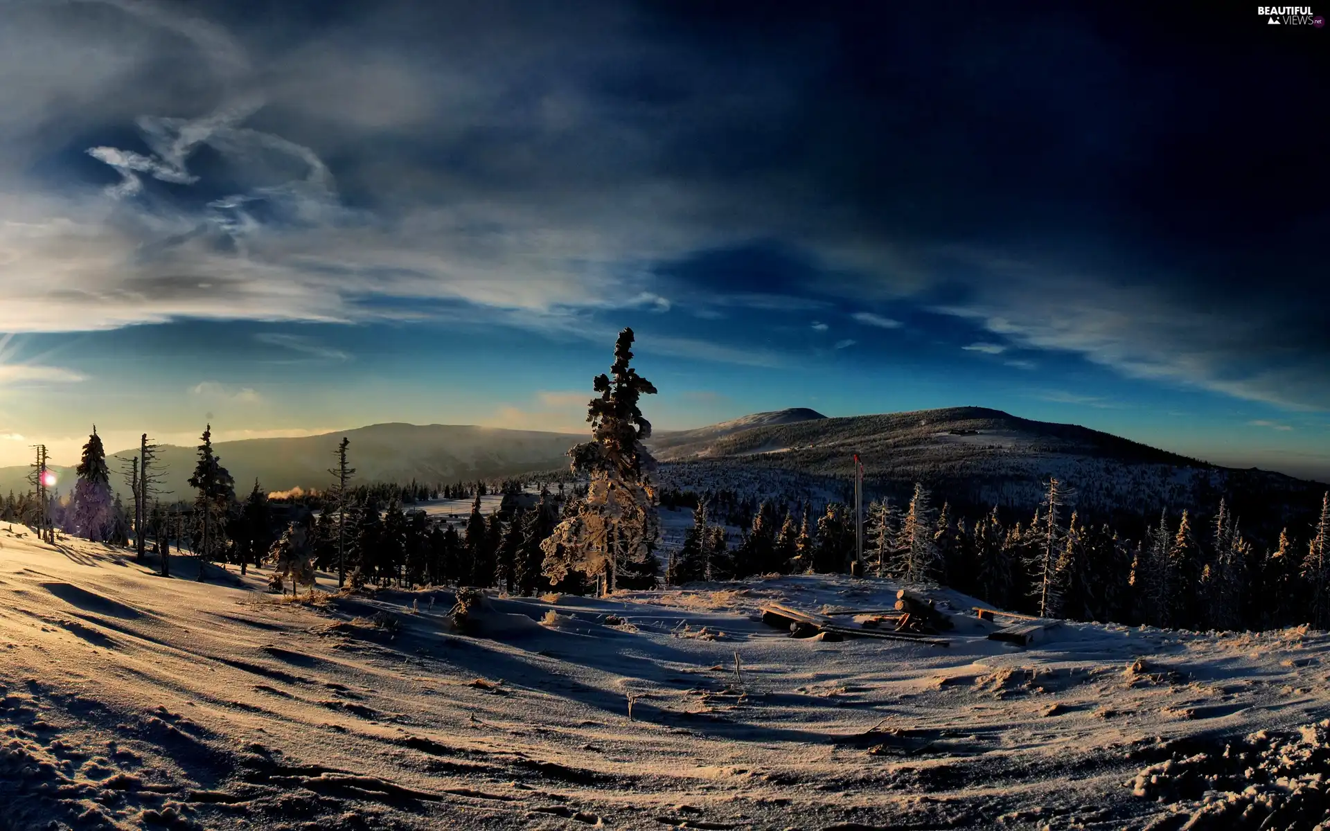 winter, woods, Christmas