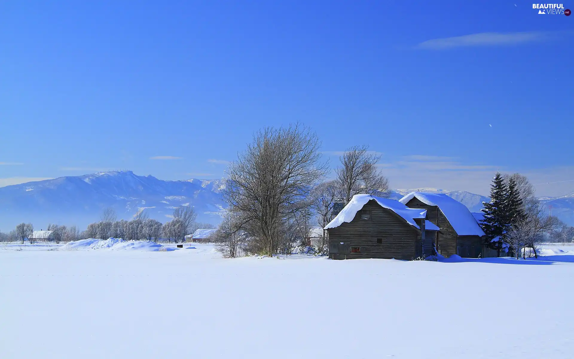 field, Mountains, winter, Houses