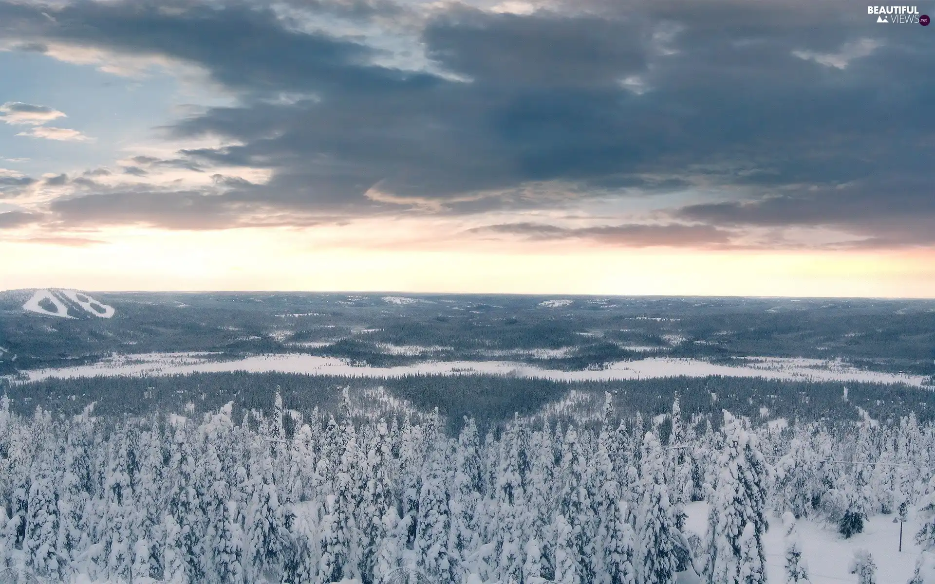 winter, clouds, forest