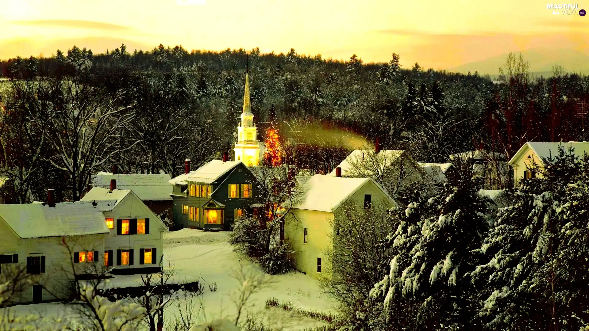 winter, Houses, forest