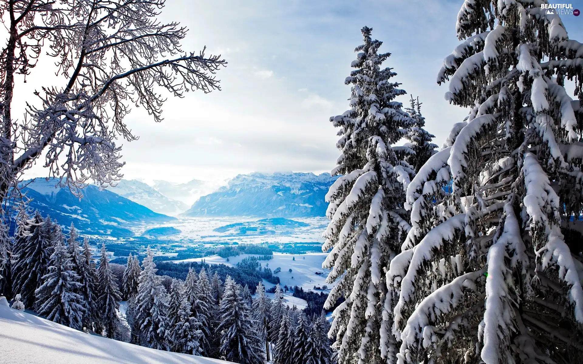 winter, Mountains, forest