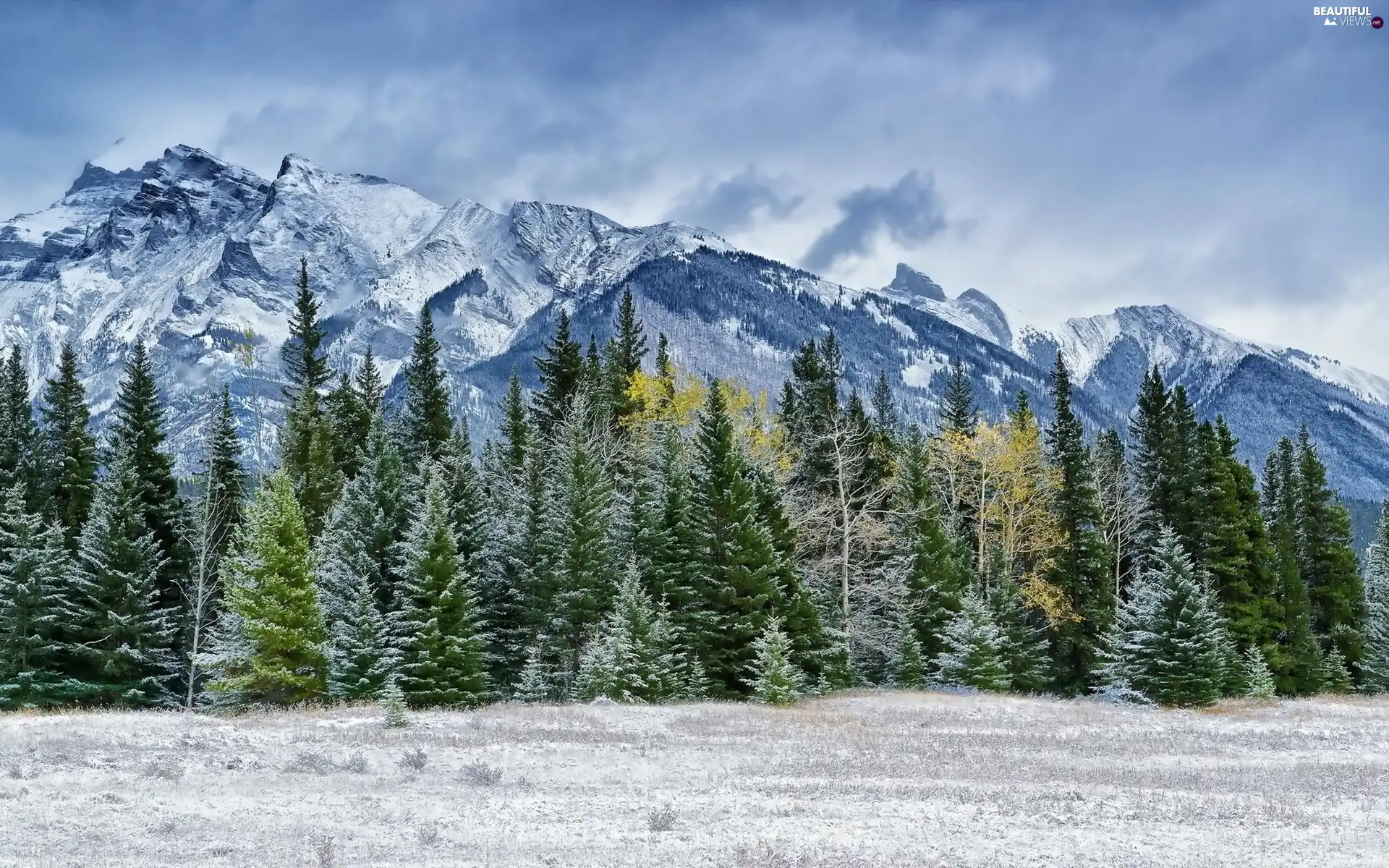 winter, Mountains, forest