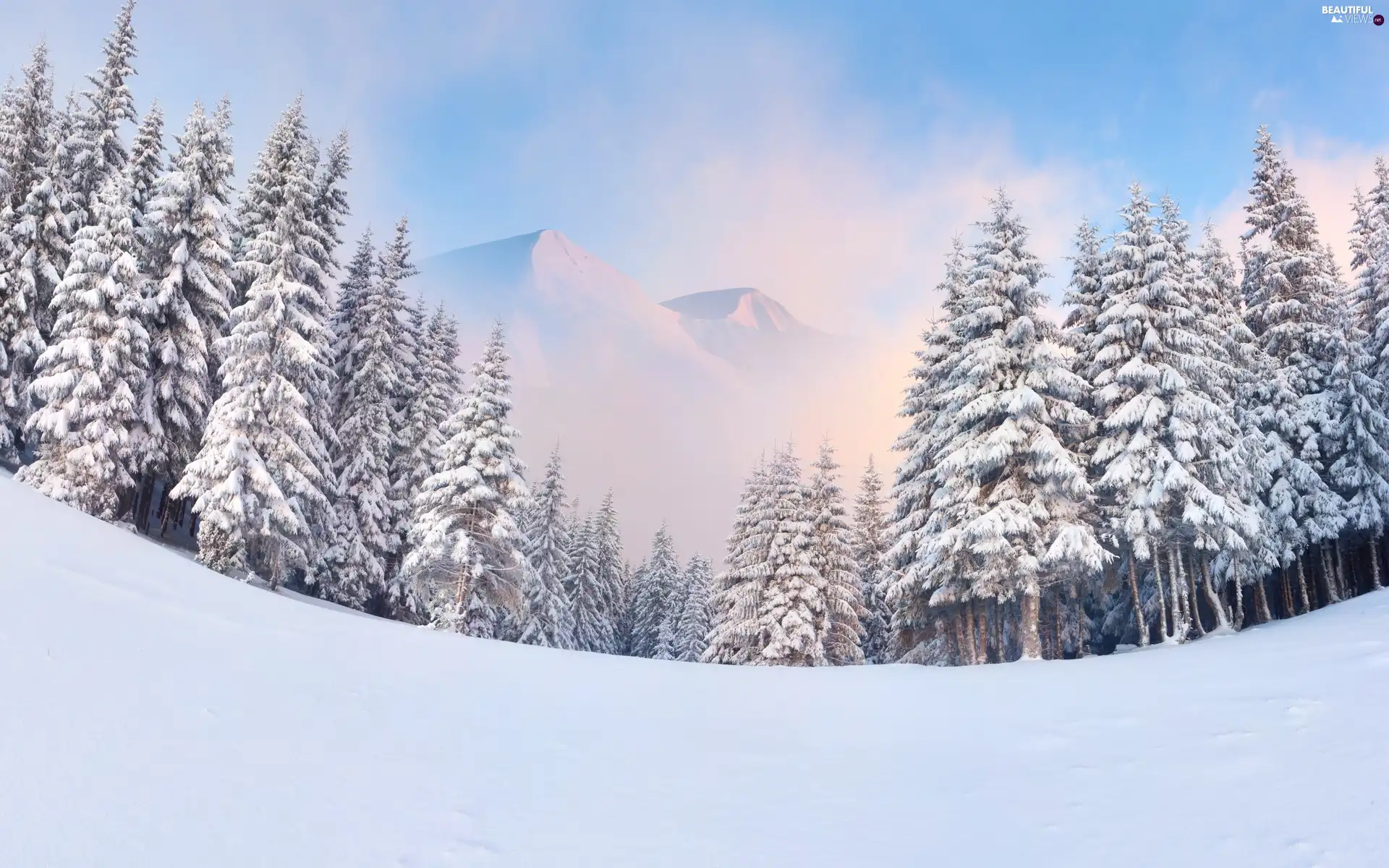 winter, Mountains, forest