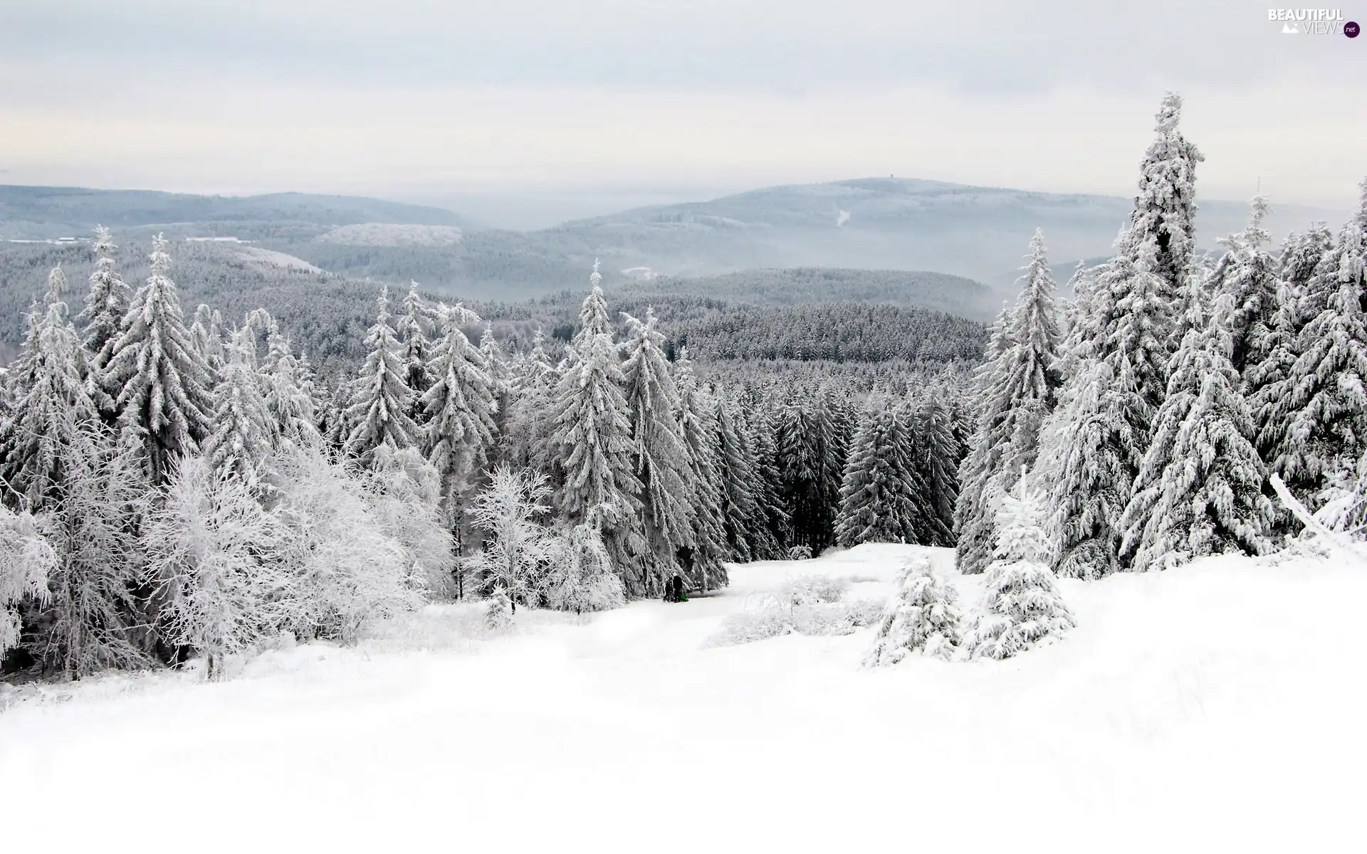 winter, Mountains, forest