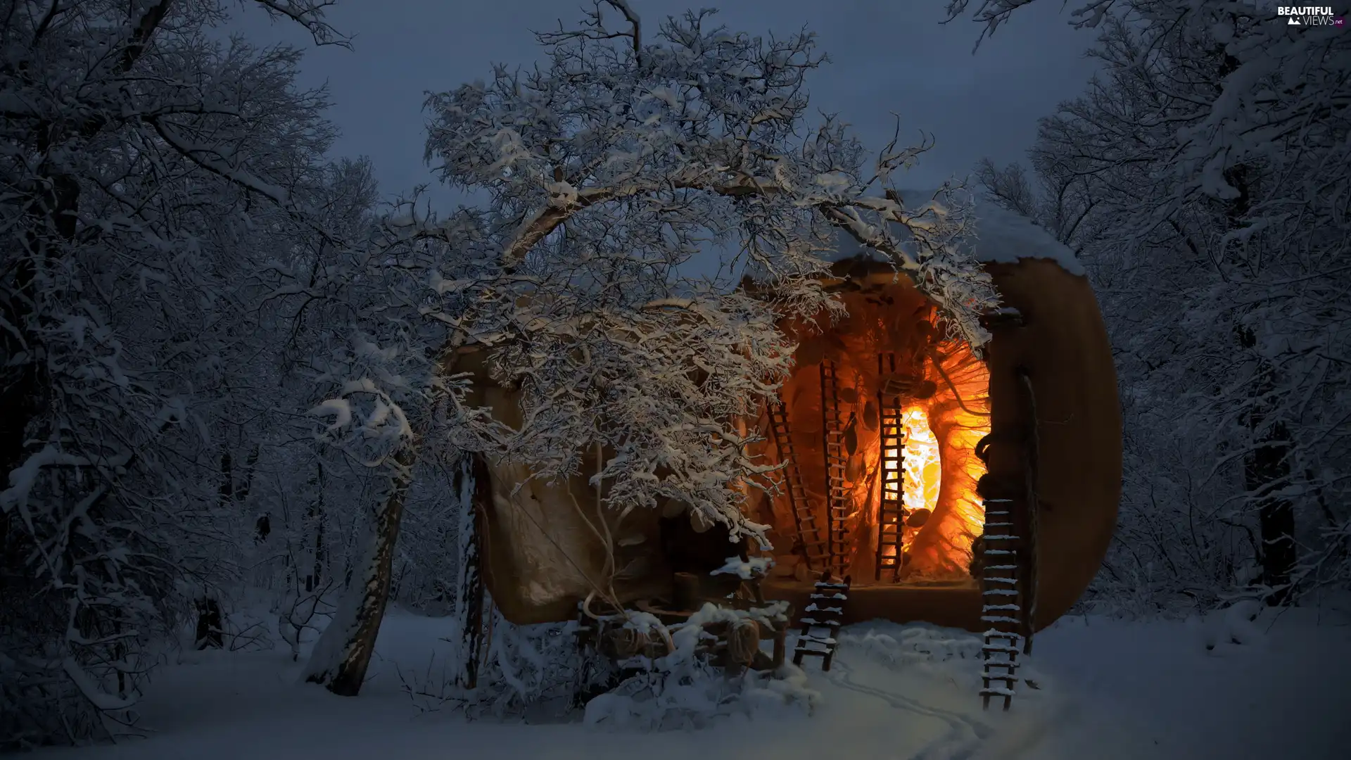 forest, Floodlit, viewes, winter, trees, Home