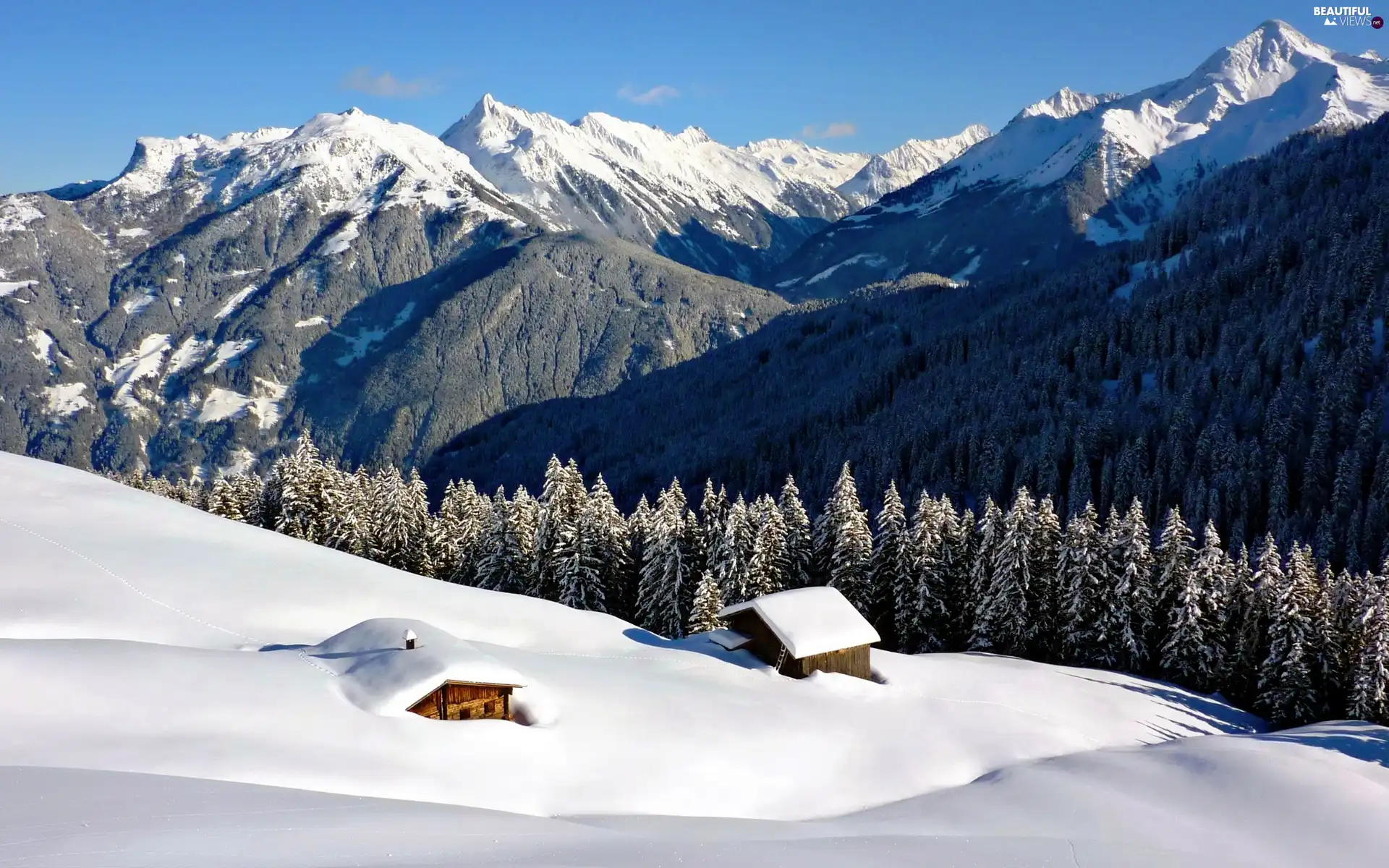 Houses, forest, winter, Mountains