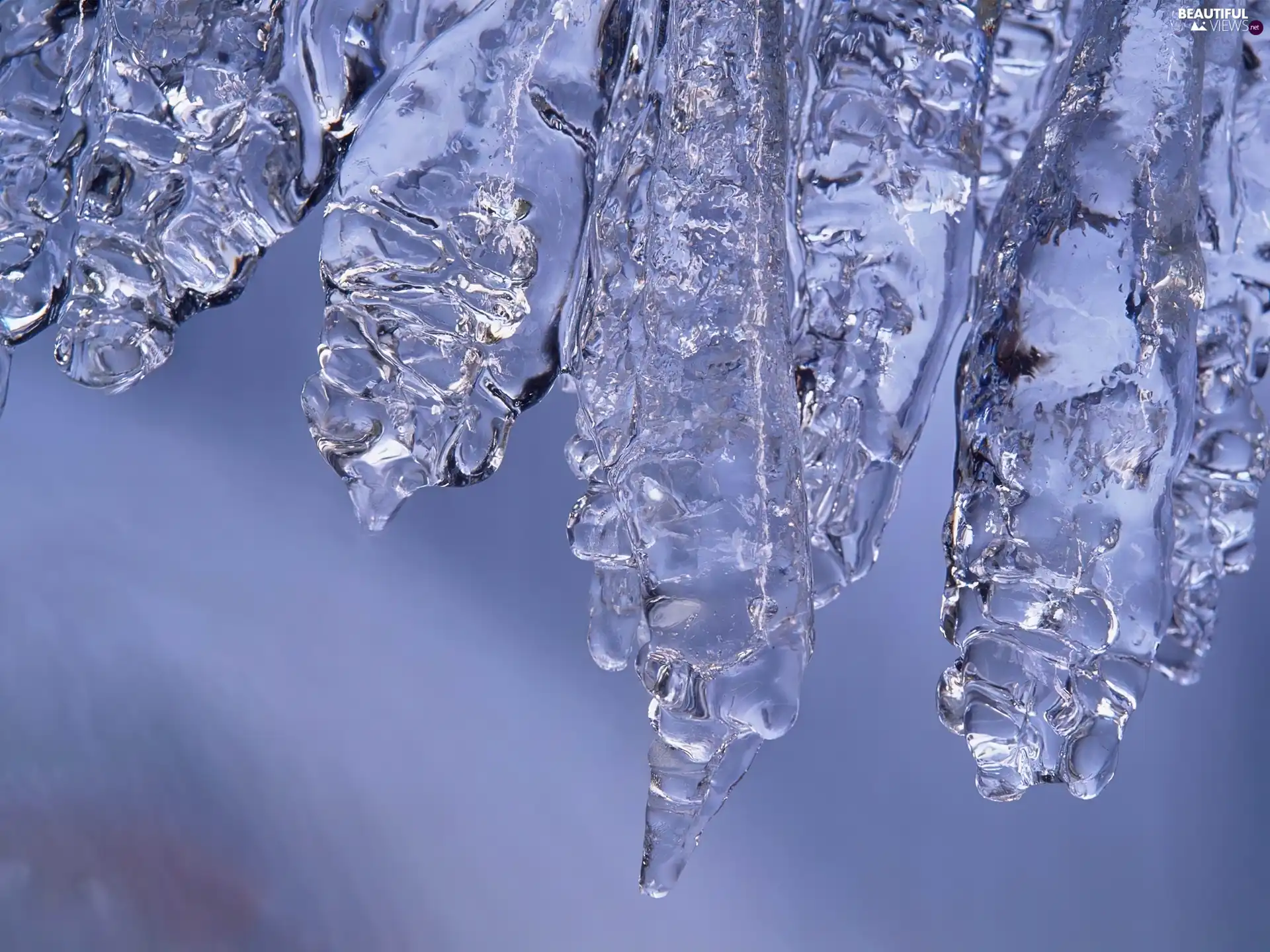 winter, Icecream, icicle