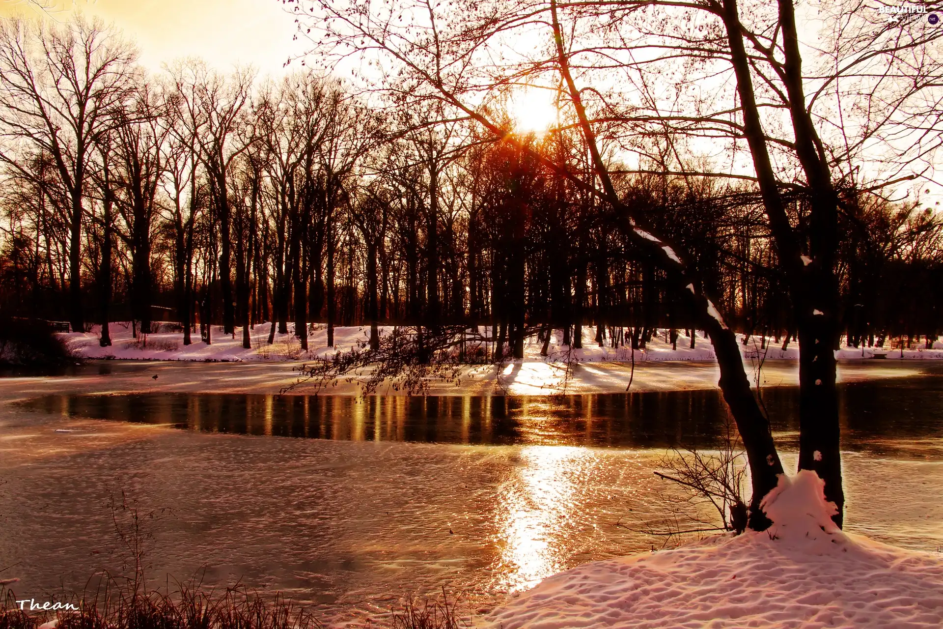 lake, viewes, winter, trees