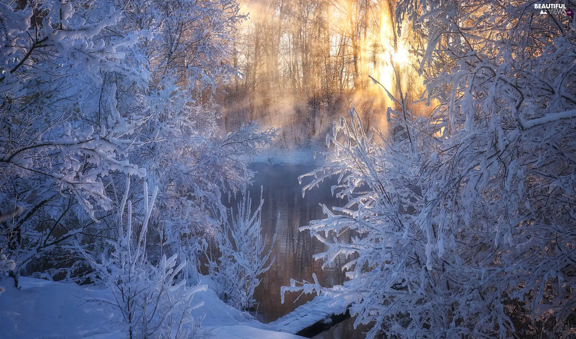 trees, viewes, light breaking through sky, Snowy, River, forest, winter, branch pics