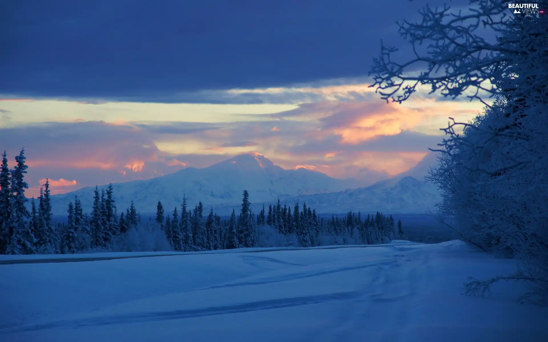 Mountains, clouds, winter, woods