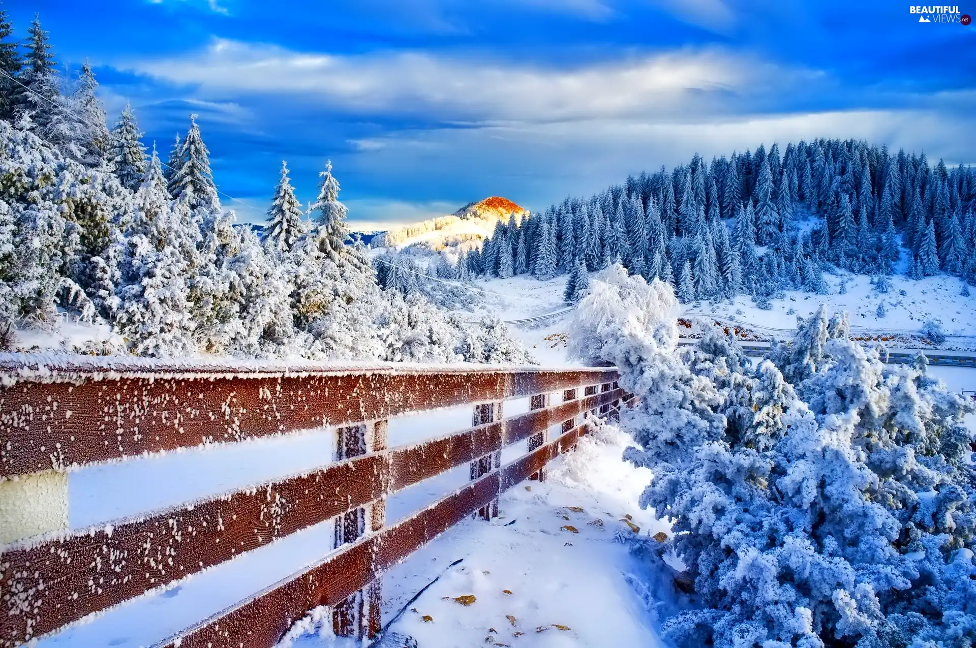 Mountains, fence, winter, woods