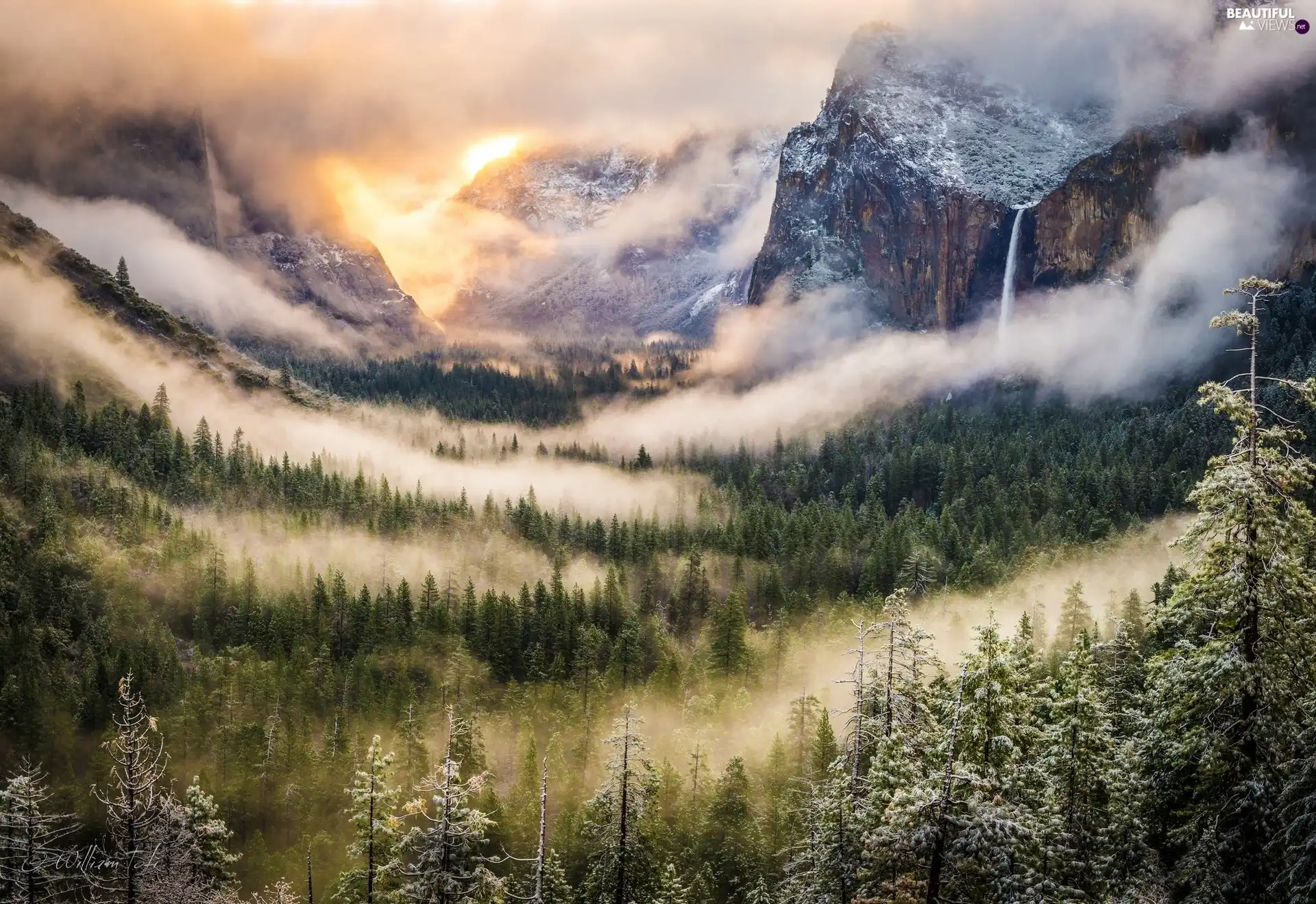 Mountains, Fog, winter, forest