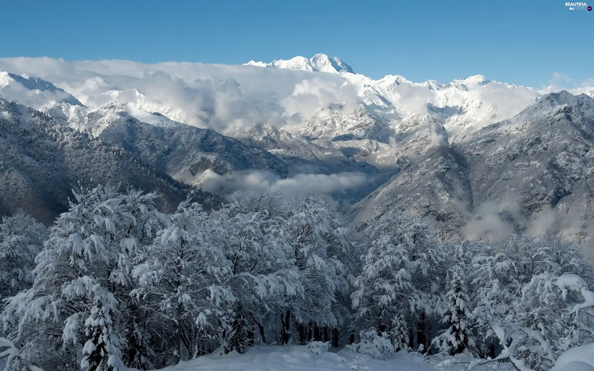 Mountains, forest, winter, clouds