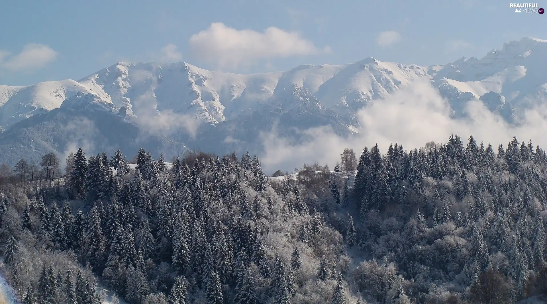 Mountains, forest, winter, Fog