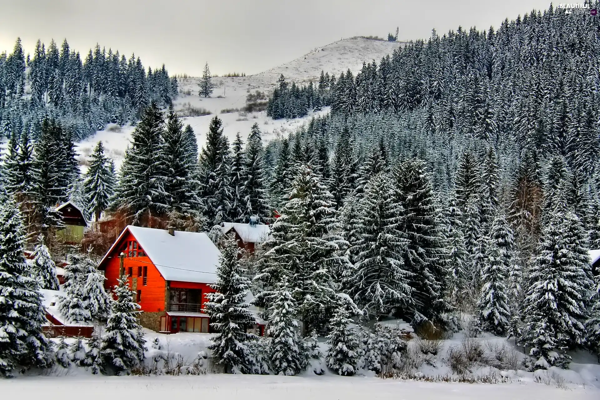 Mountains, Houses, winter, woods