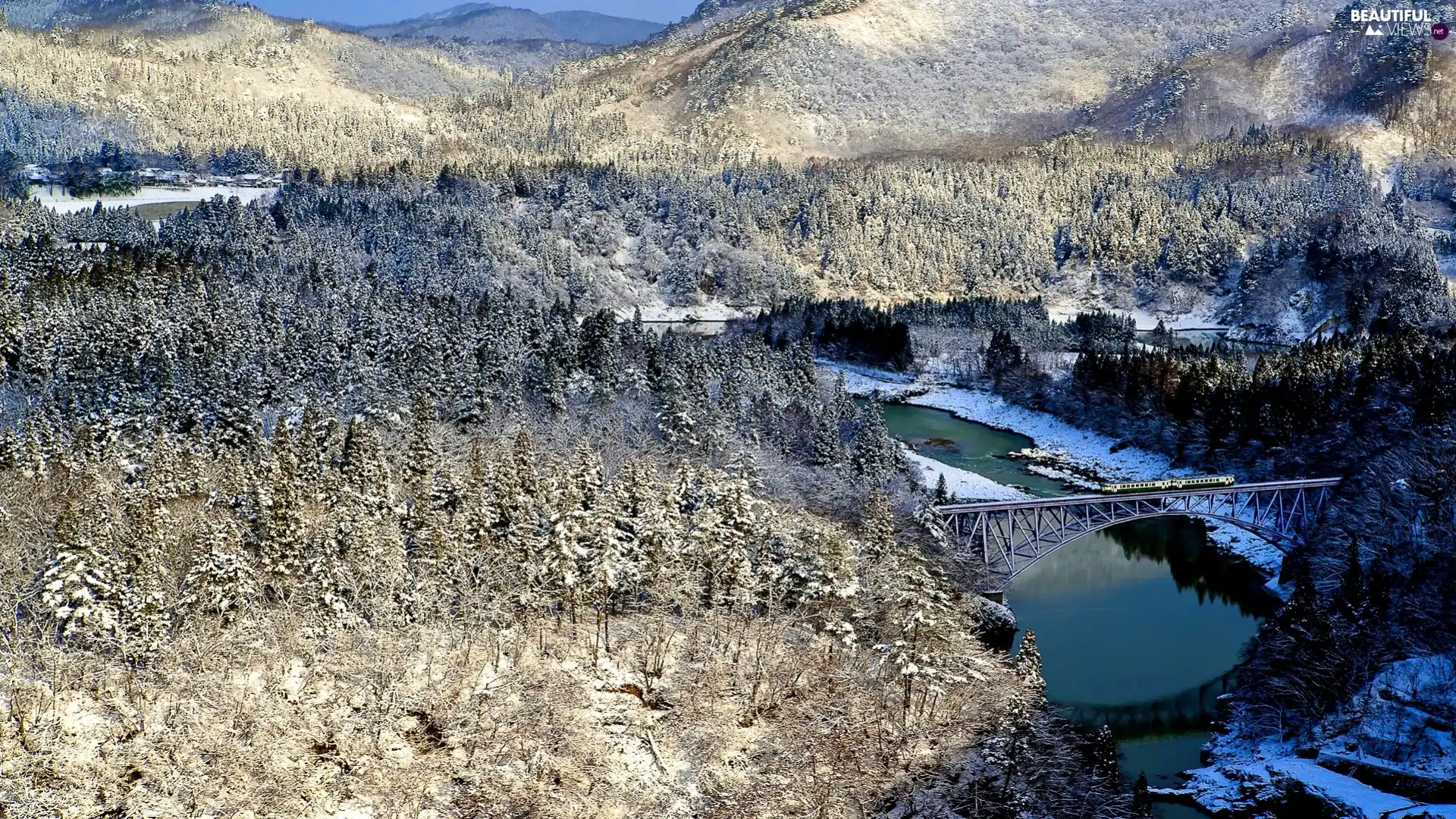 Mountains, River, winter, forest