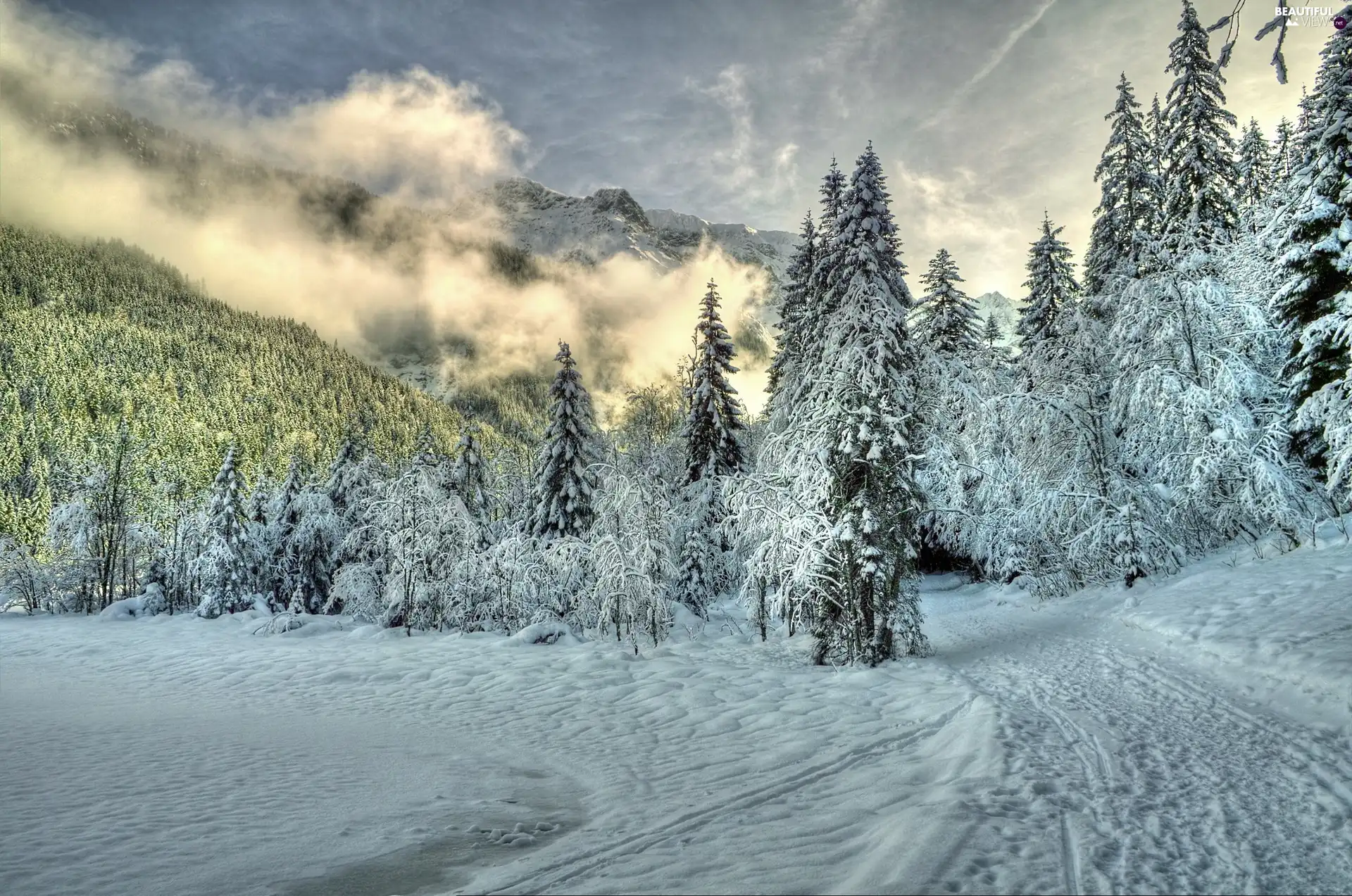 Mountains, Way, winter, forest