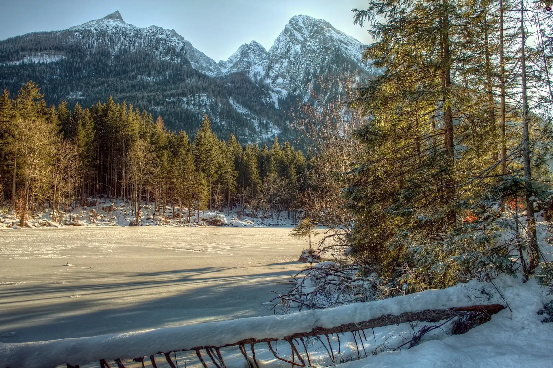 Mountains, woods, winter, River