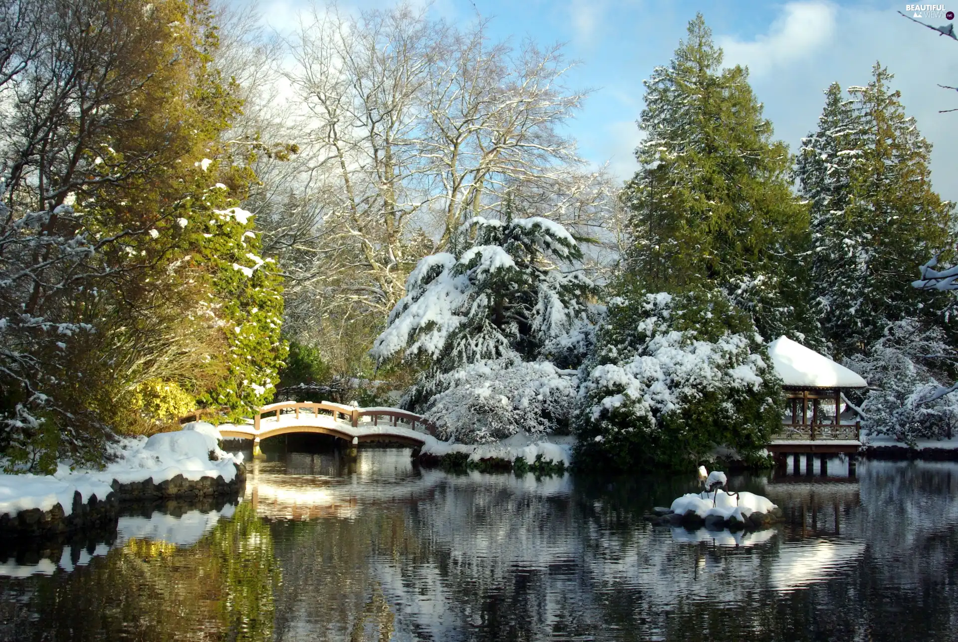 Park, bridge, winter, River