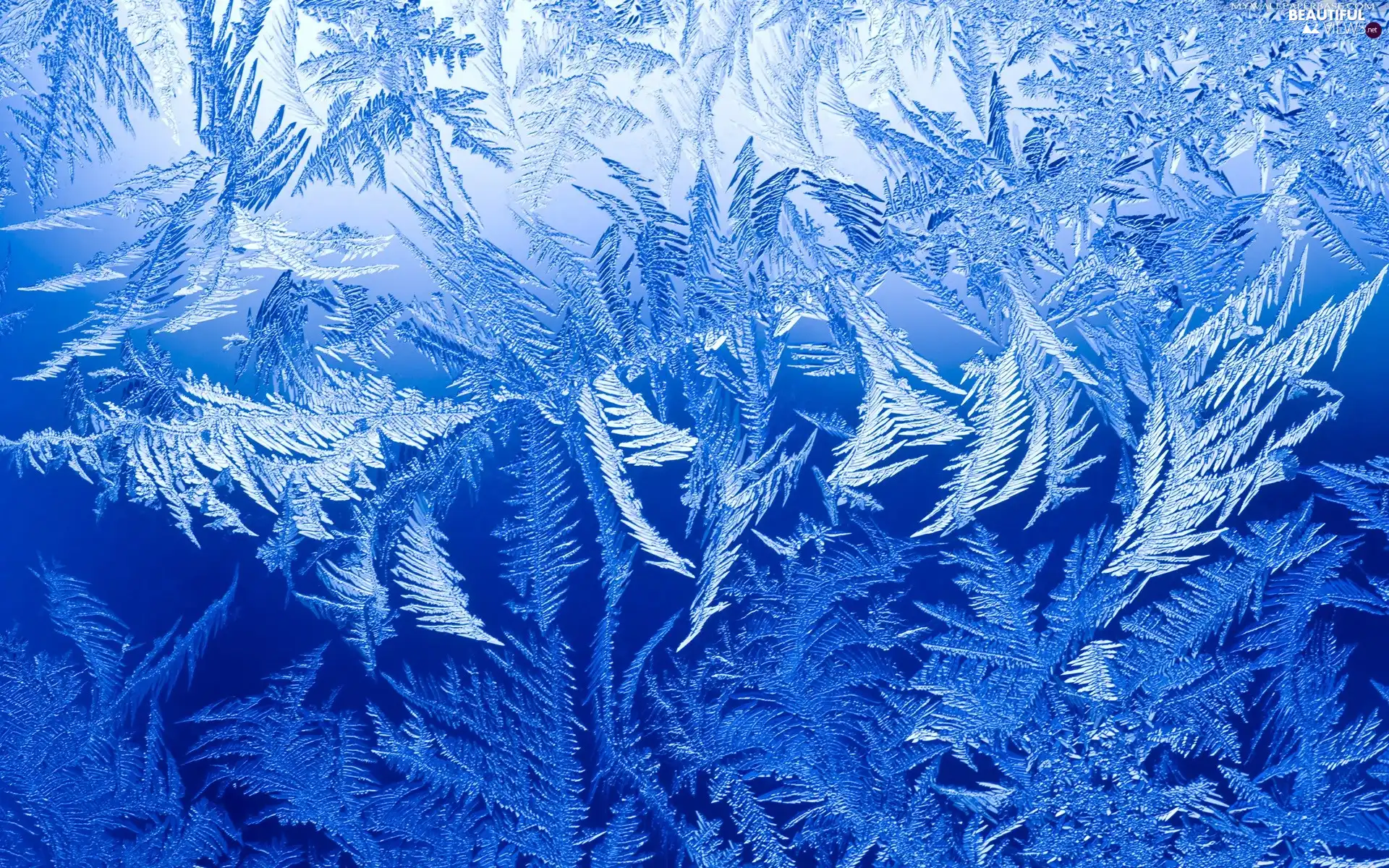 winter, Frost, patterns