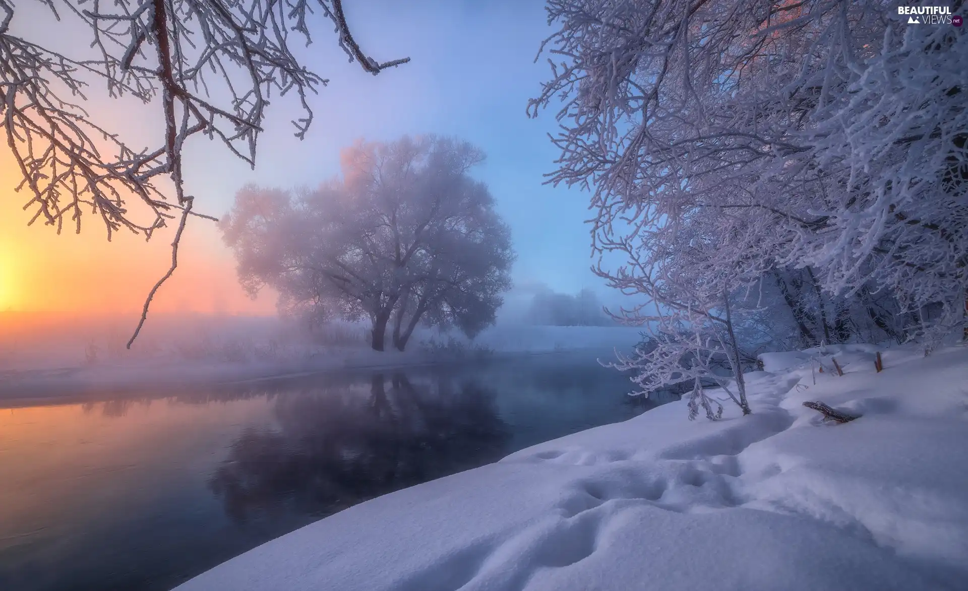 winter, Khimki City, trees, Russia, Istra River, Fog, viewes