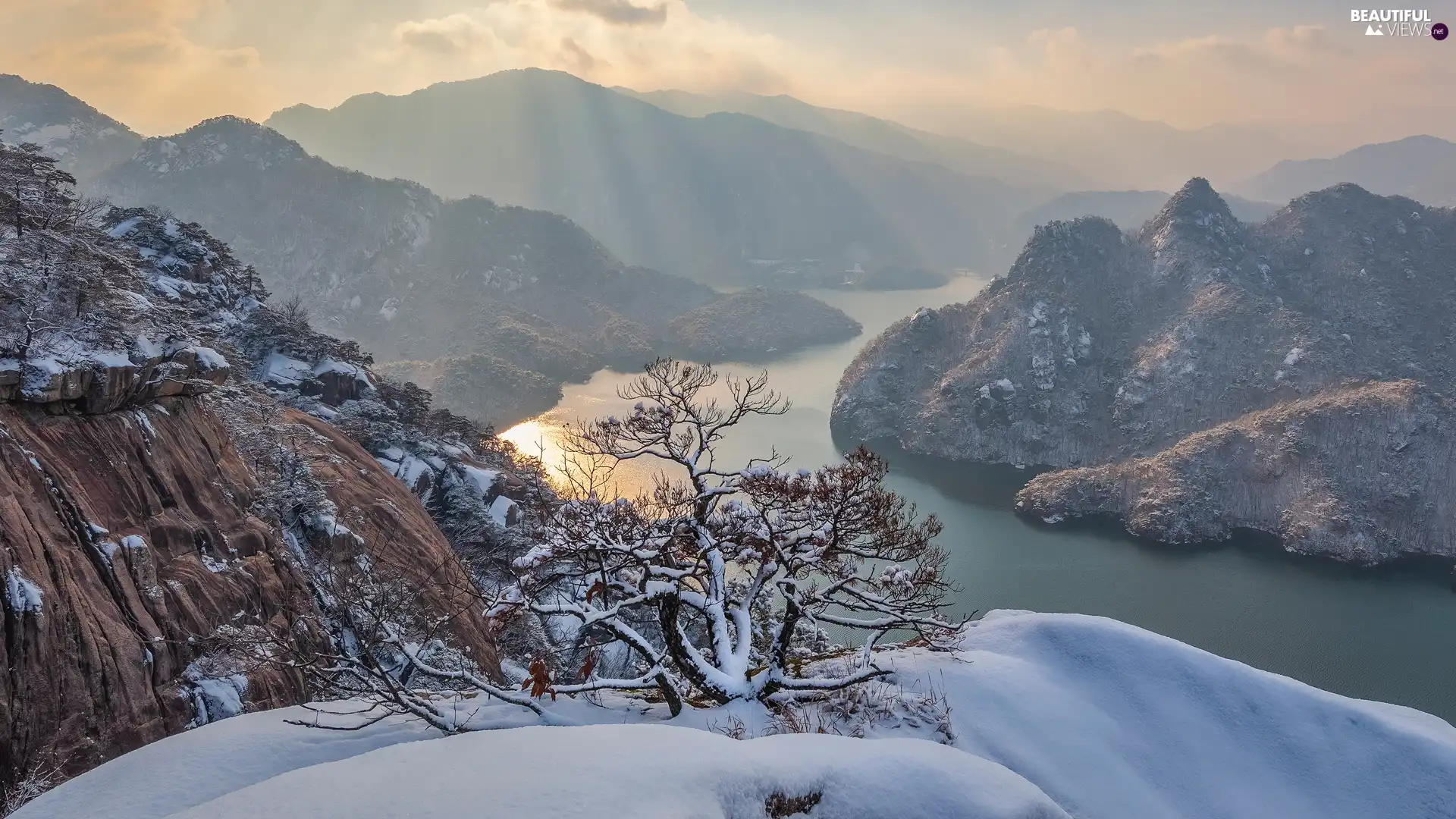pine, winter, River, Rocks, Mountains