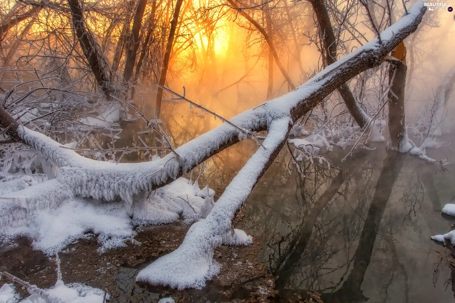 viewes, Great Sunsets, winter, trees, River