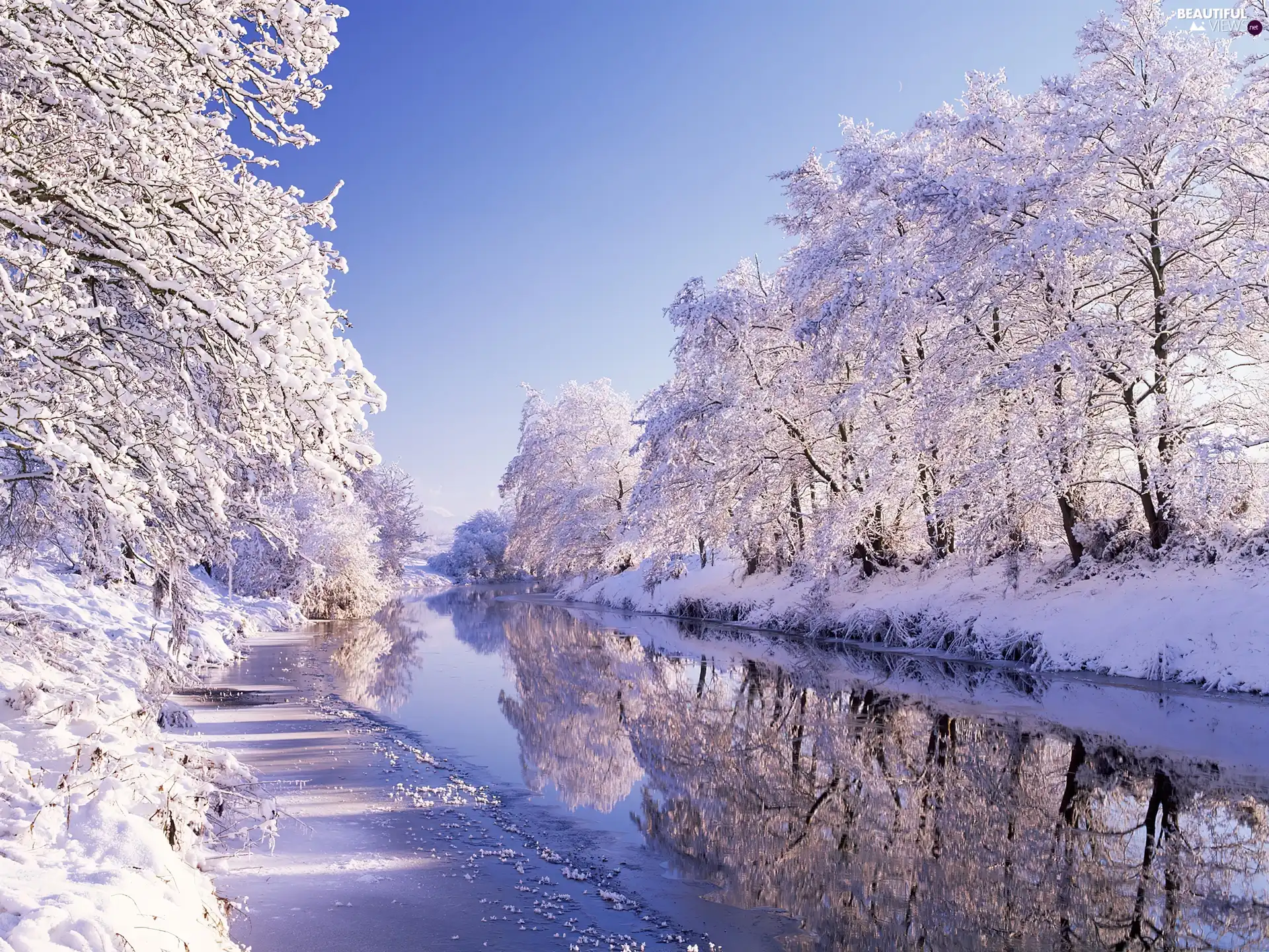 River, viewes, winter, trees