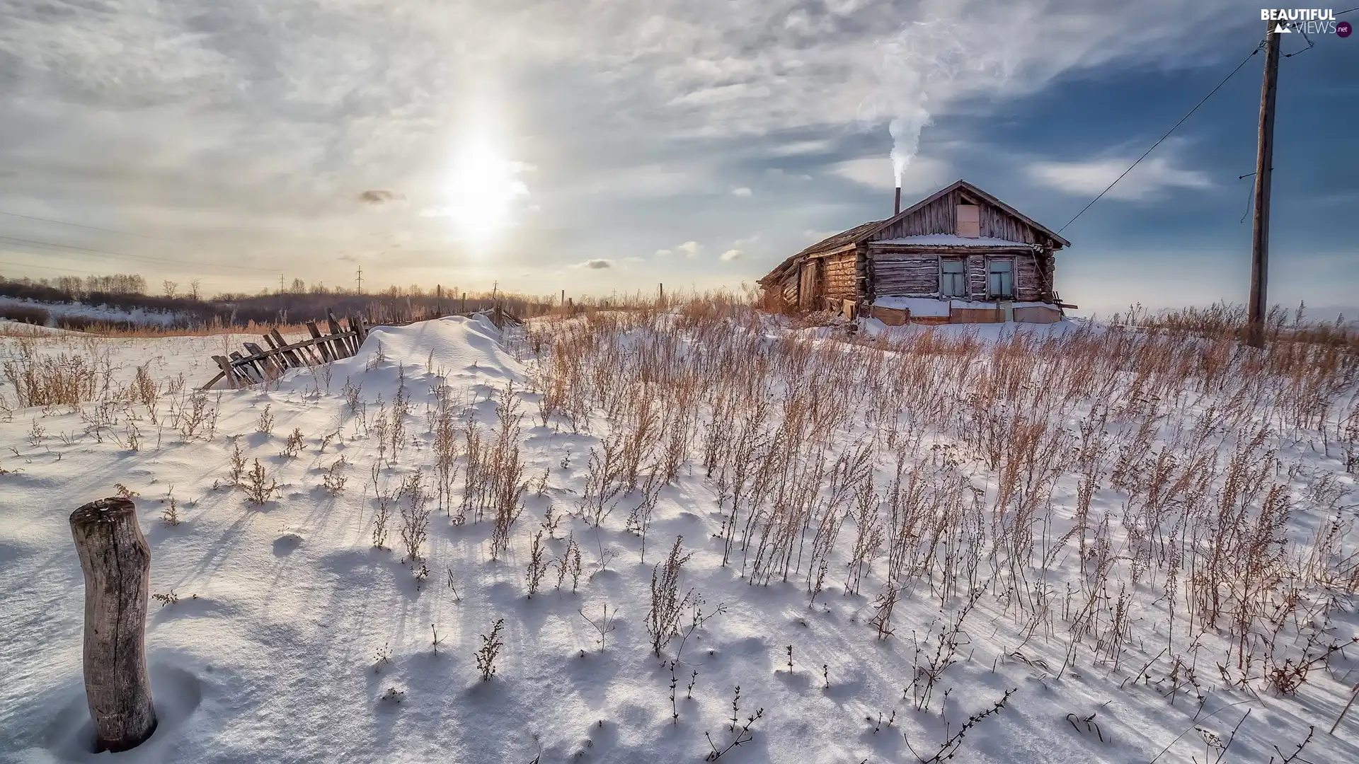 Plants, house, peg, winter, Fance, snow