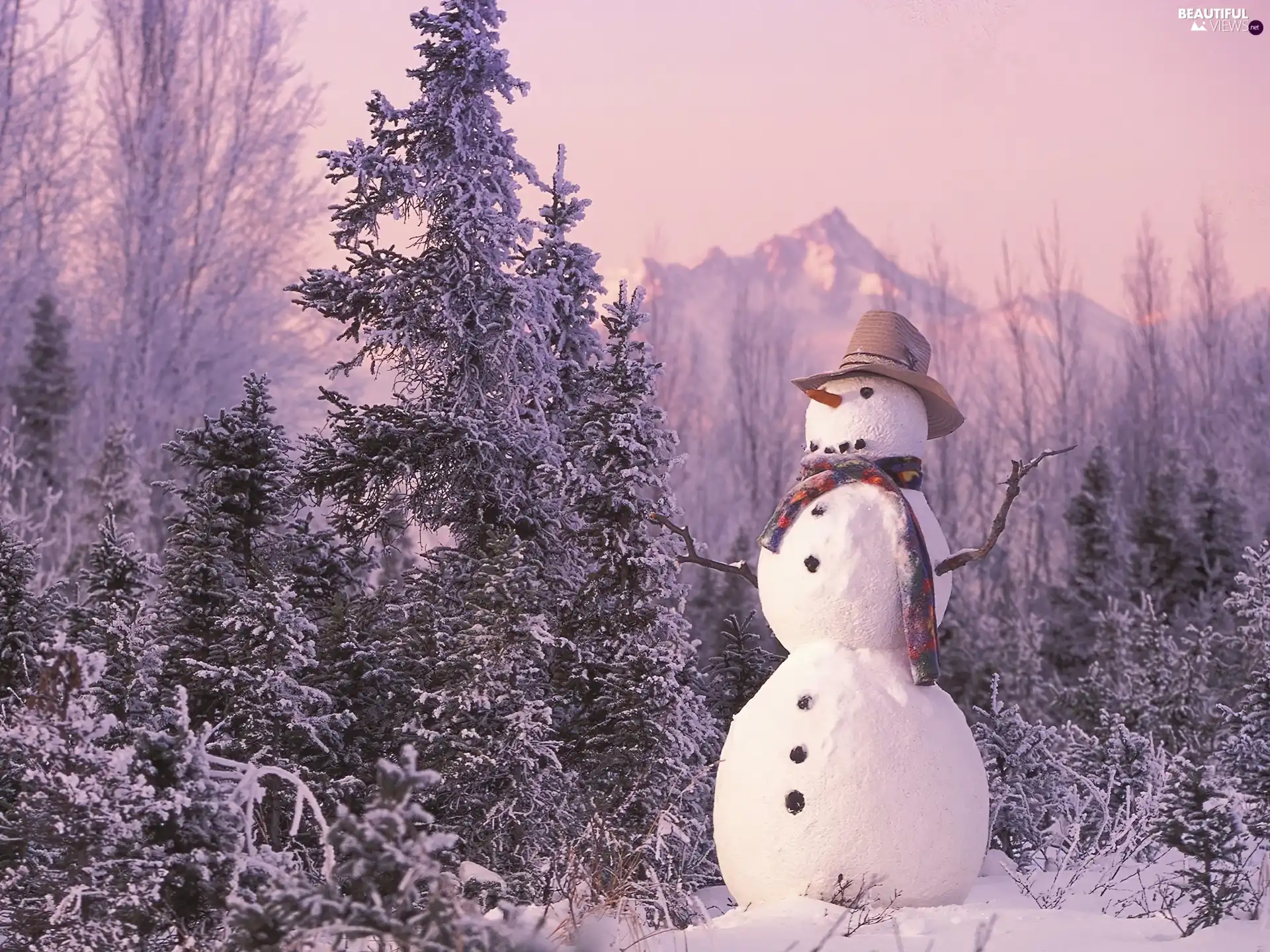 Snowman, viewes, winter, trees