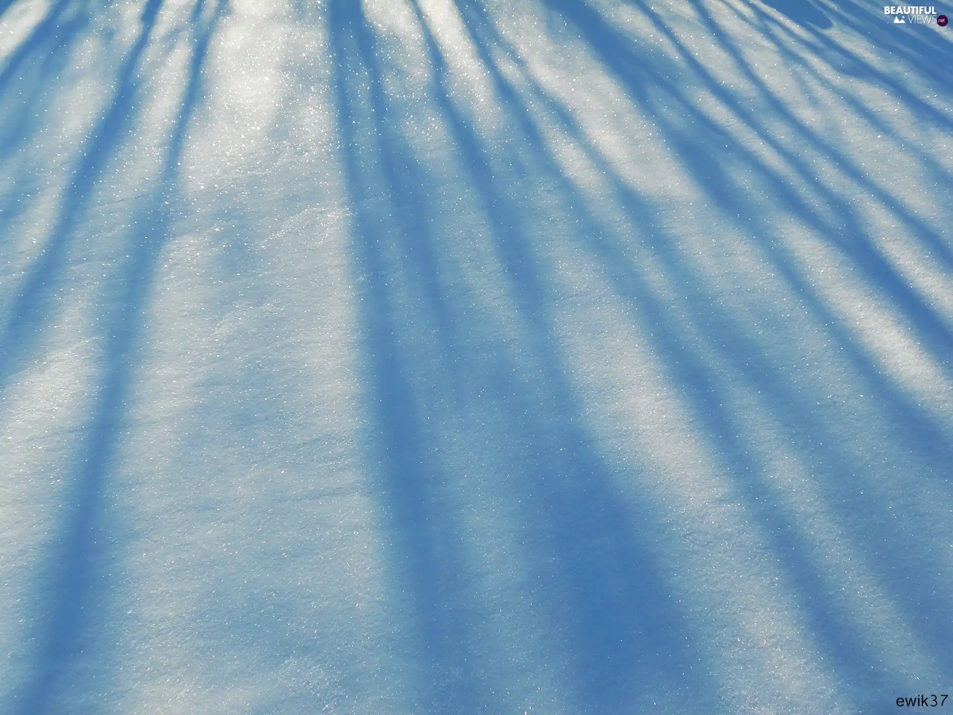 sparkling, shadows, winter, snow